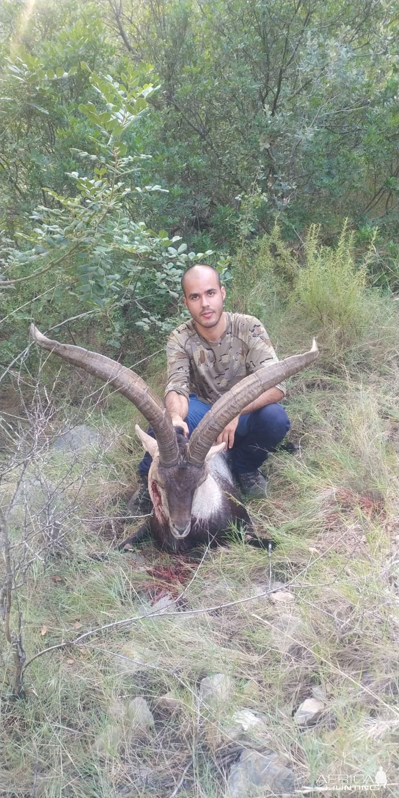 Beceite Ibex Bow Hunt Spain