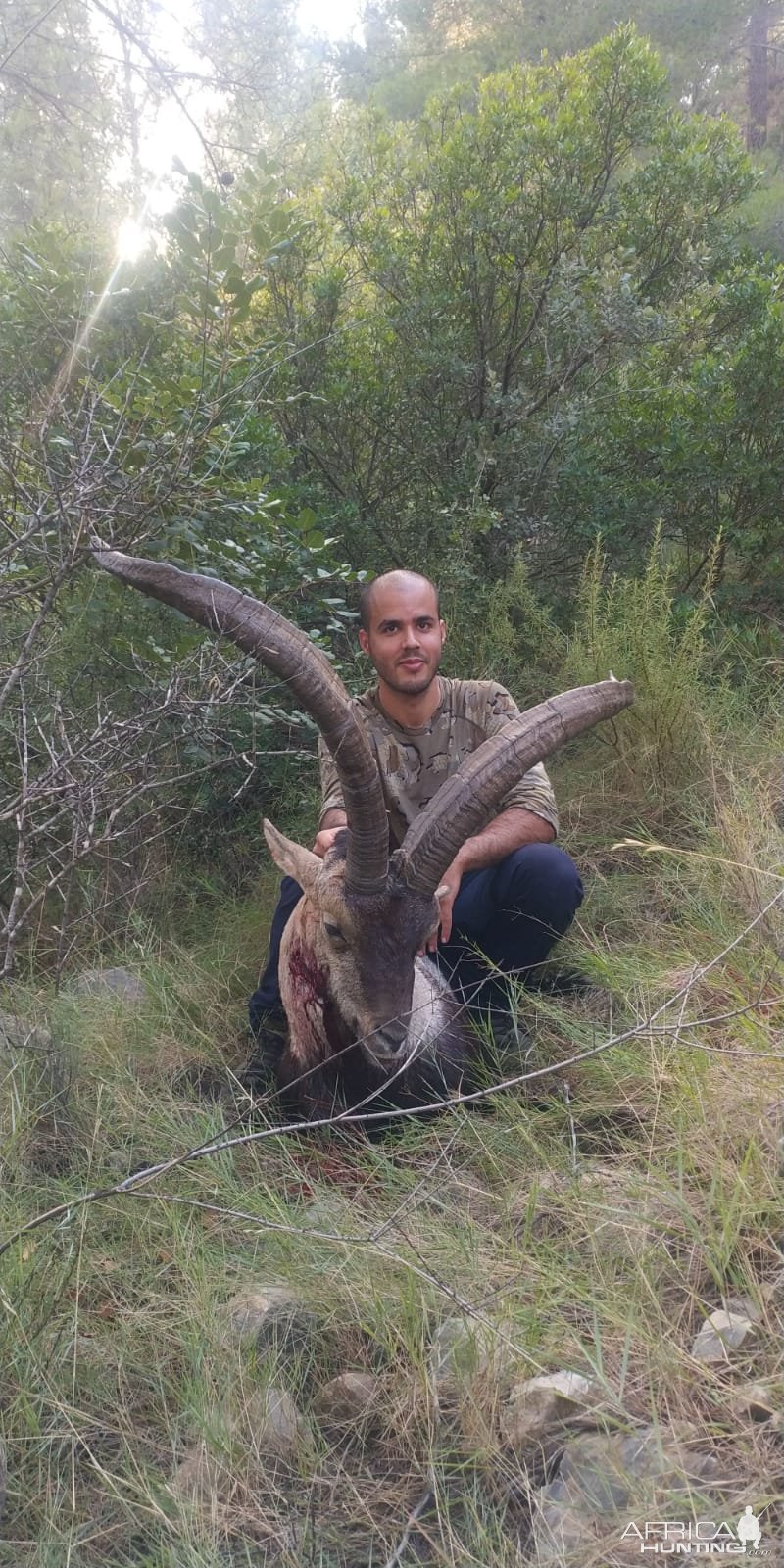 Beceite Ibex Bow Hunt Spain