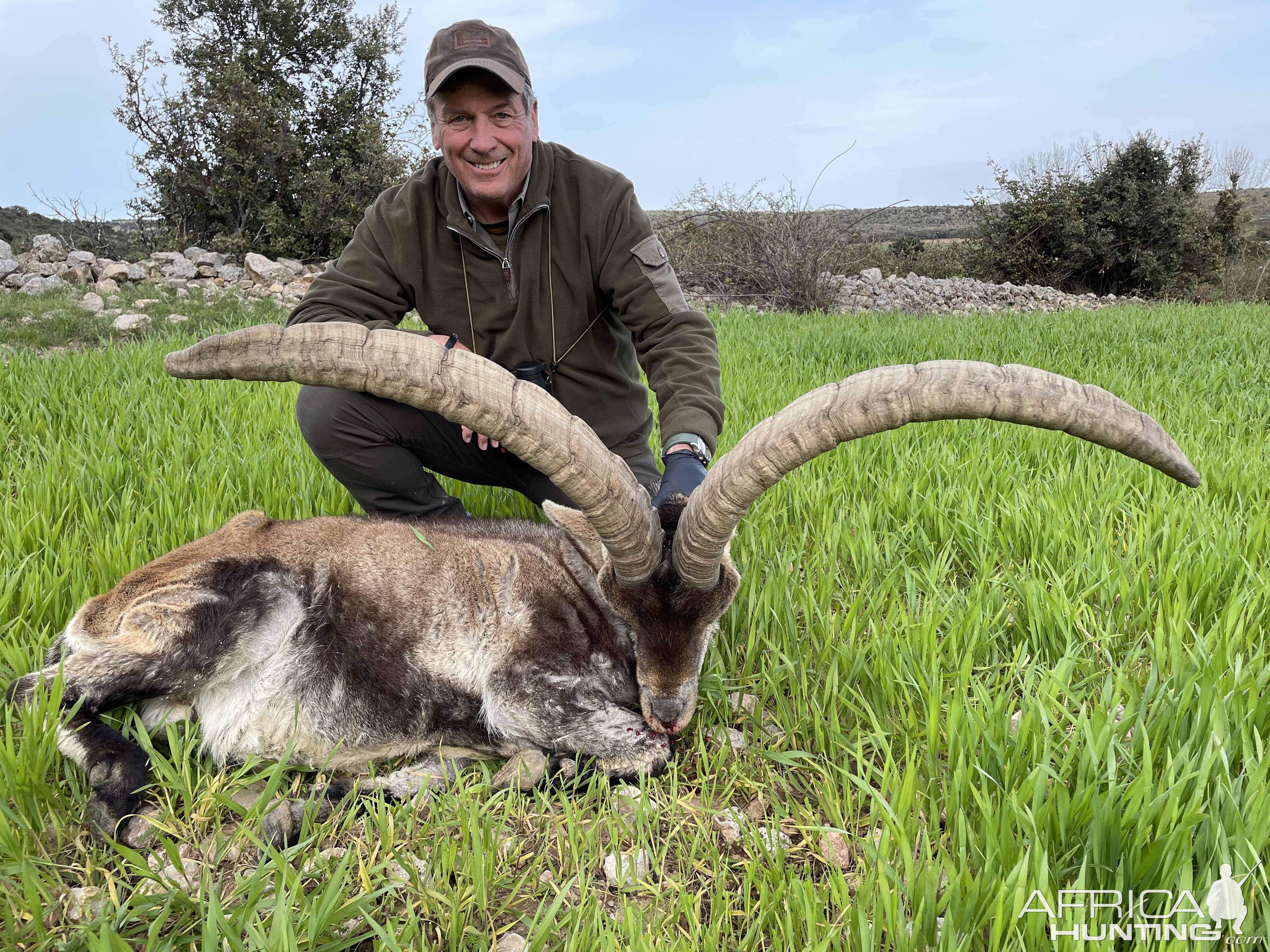 Beceite Ibex Hunt Spain