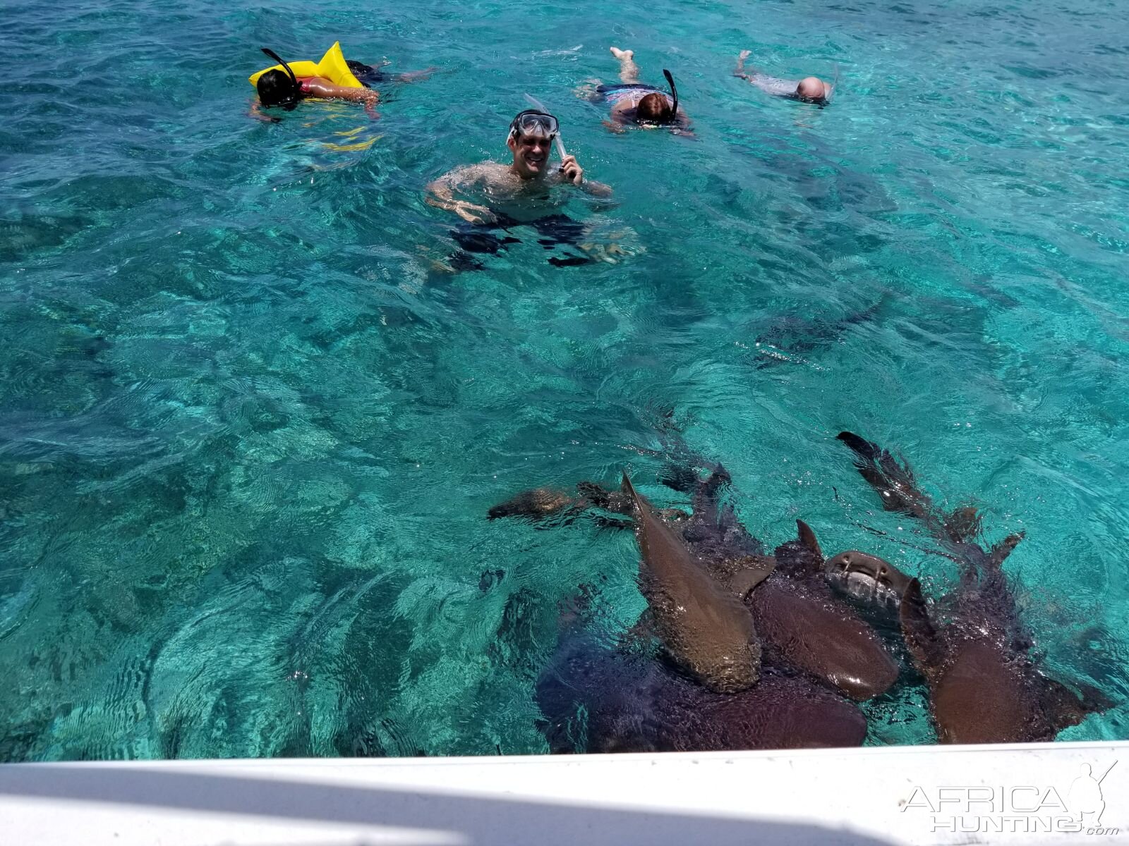 Belize Snorkling