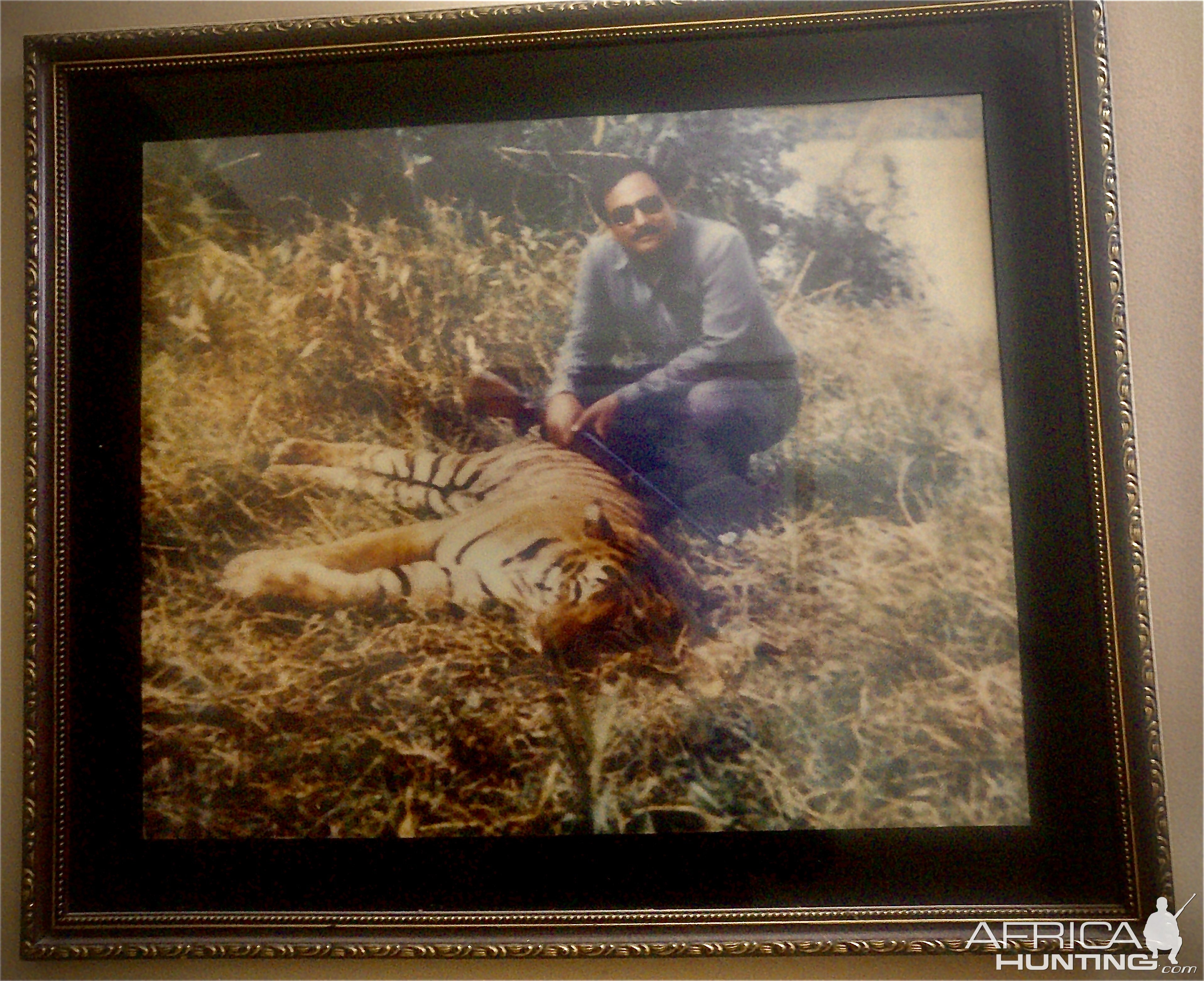 Bengal Tiger Hunting