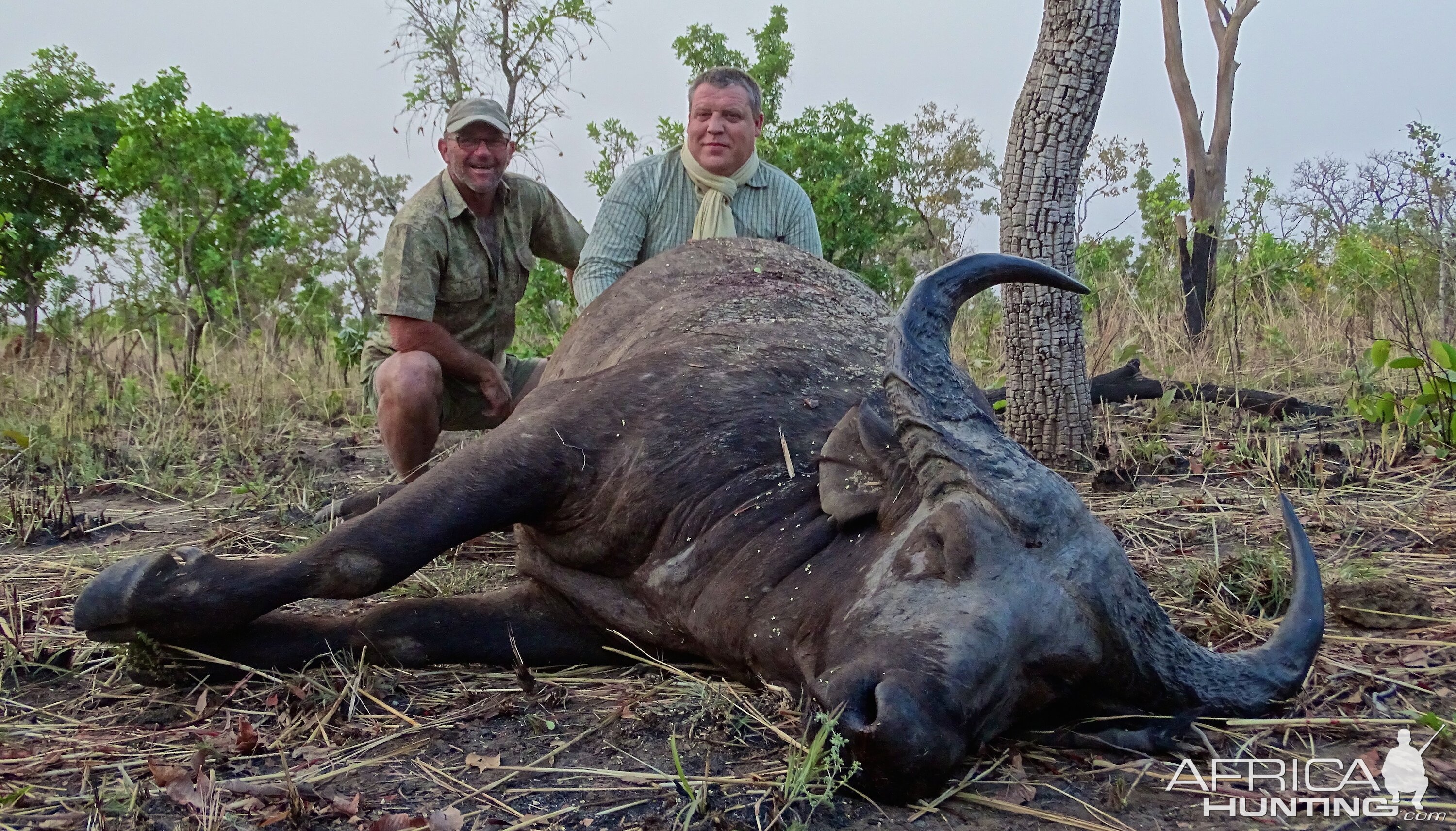 Benin Hunt West African Savanna Buffalo