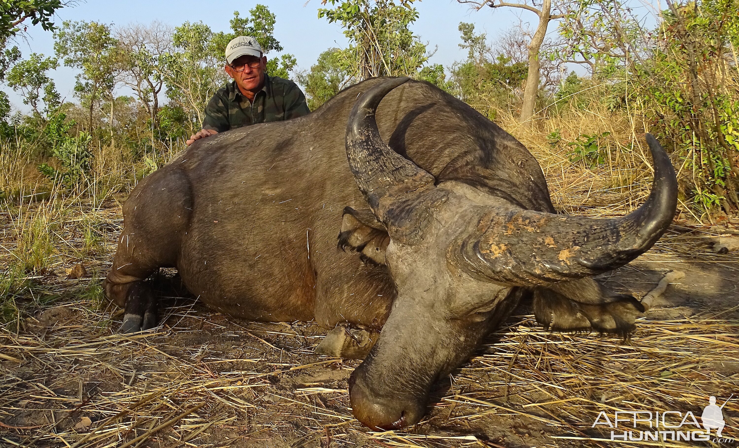 Benin Hunt West African Savanna Buffalo