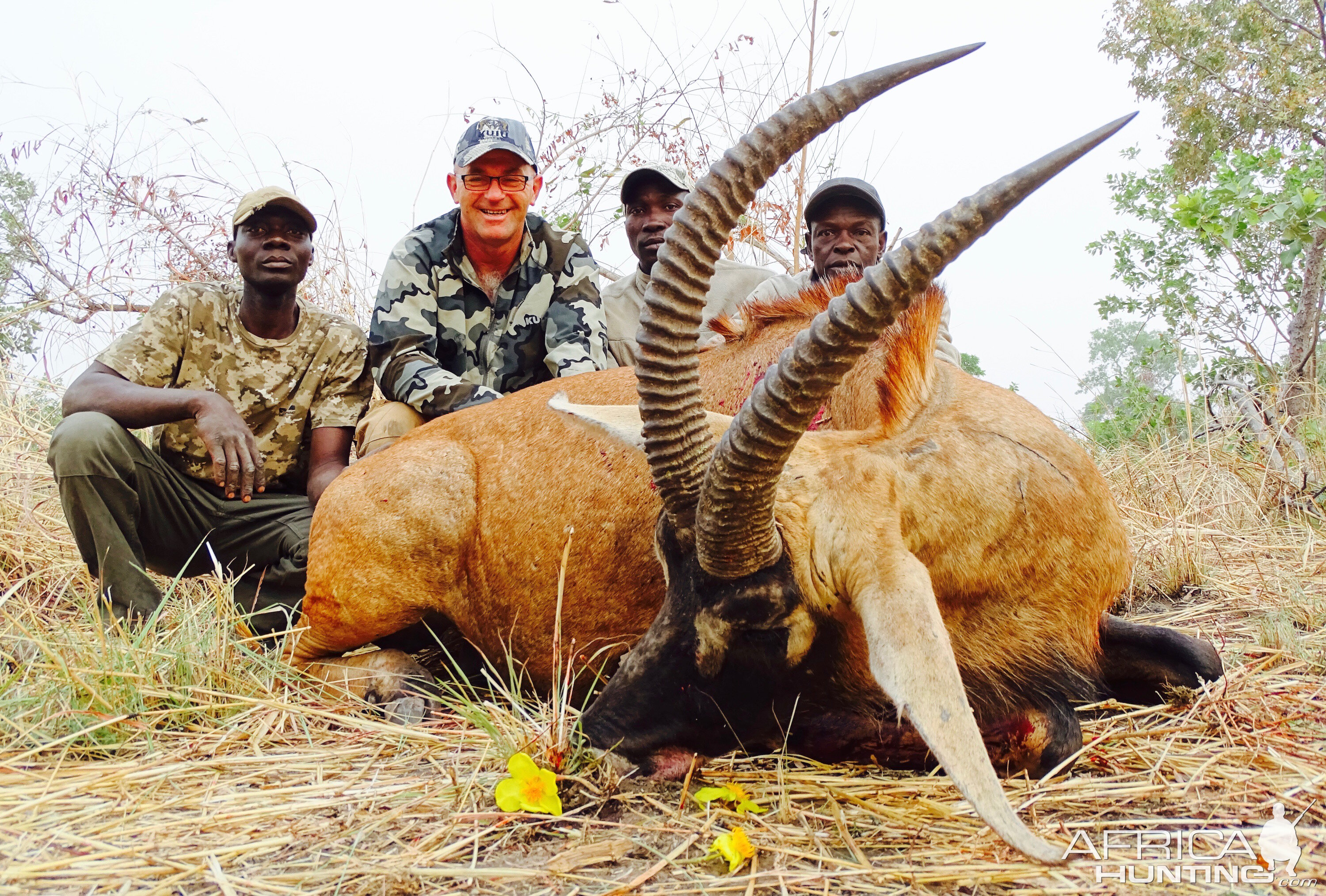 Benin Hunting Roan