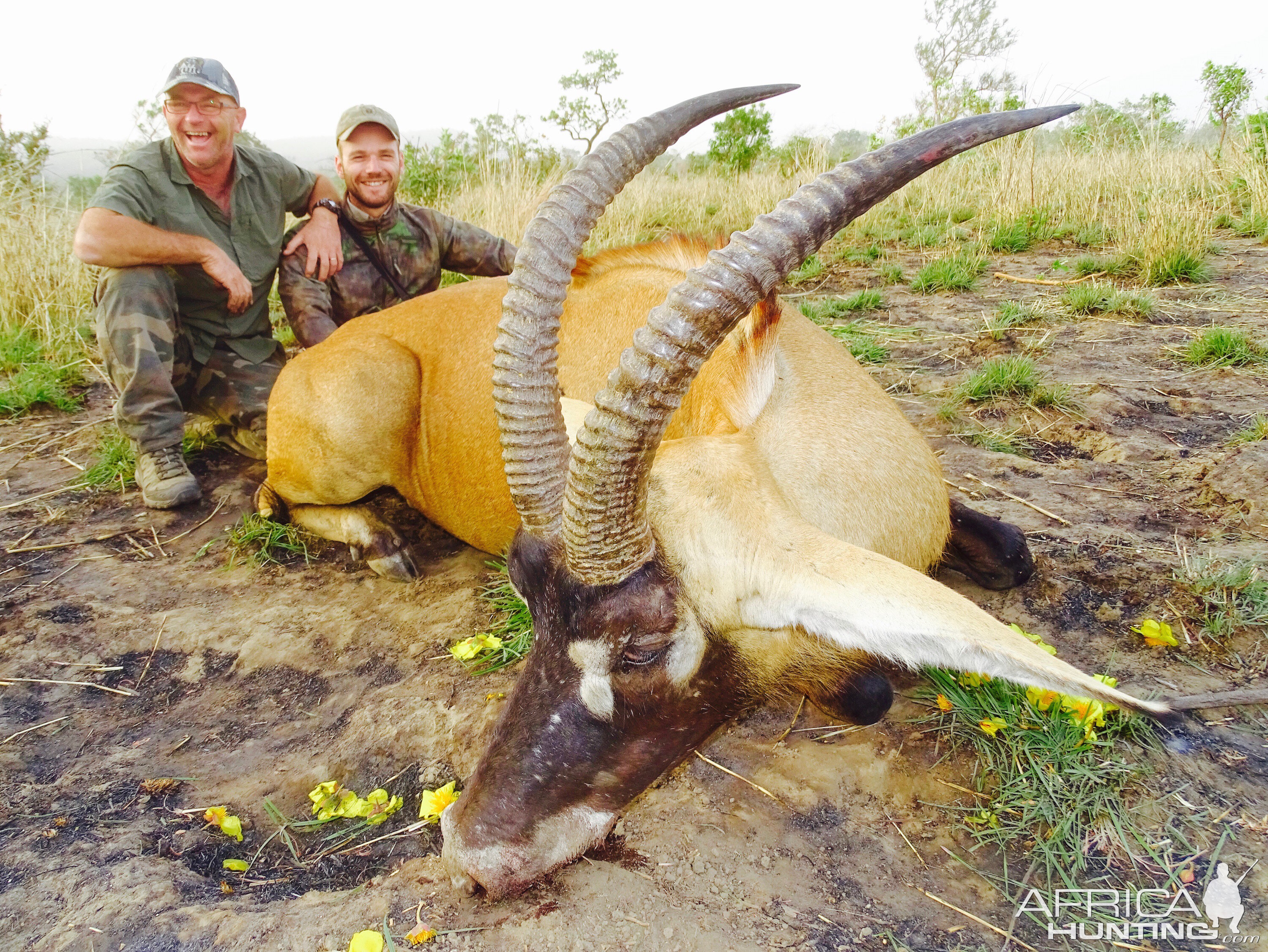 Benin Hunting Roan