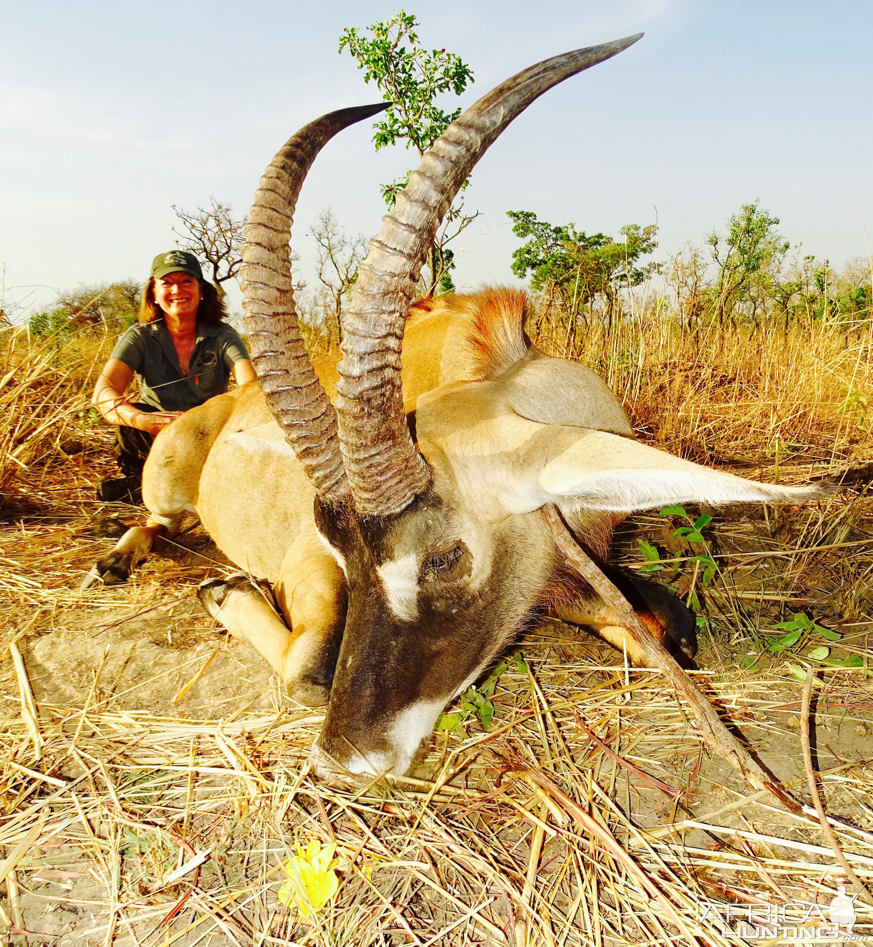 Benin Hunting Roan