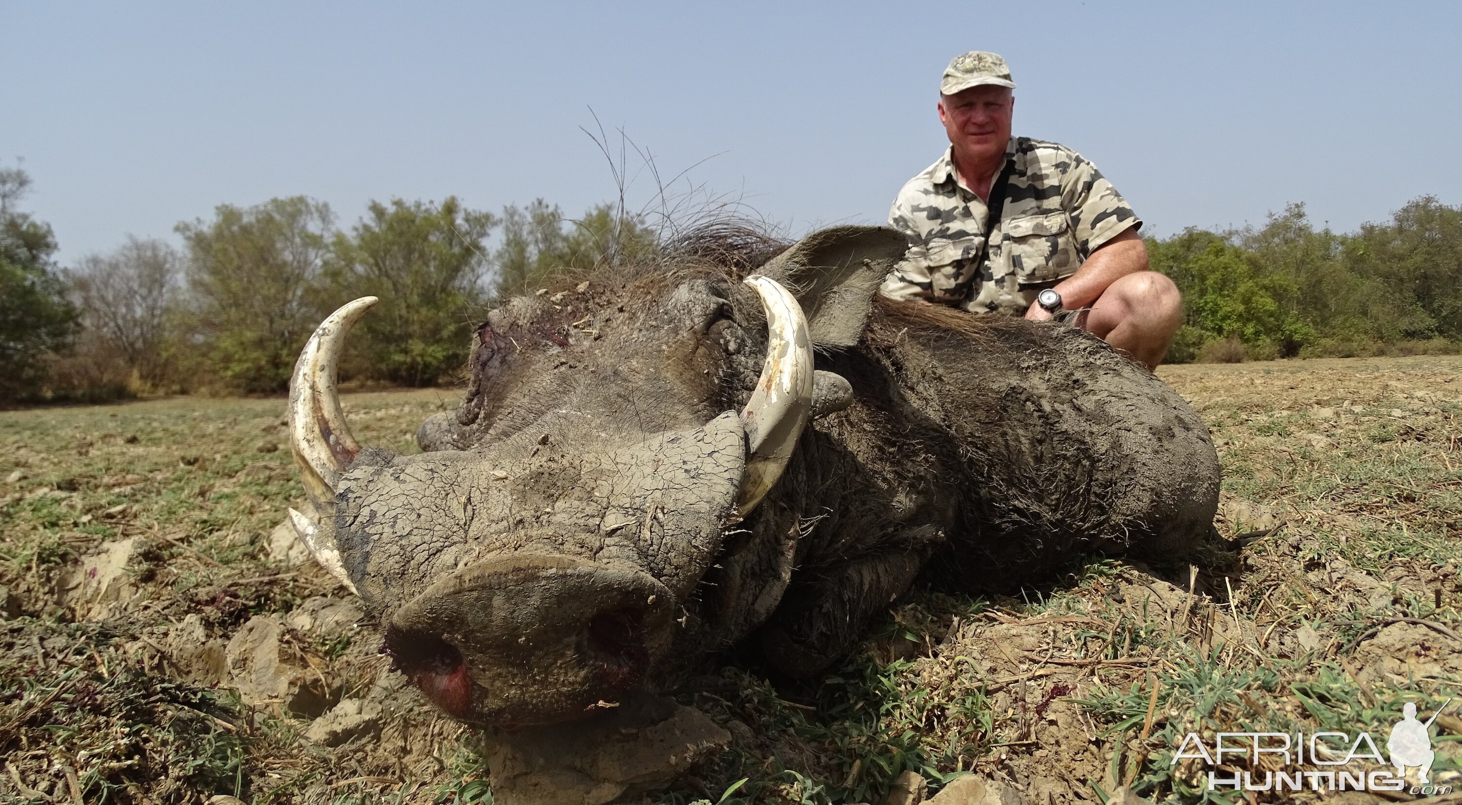 Benin Warthog Hunt