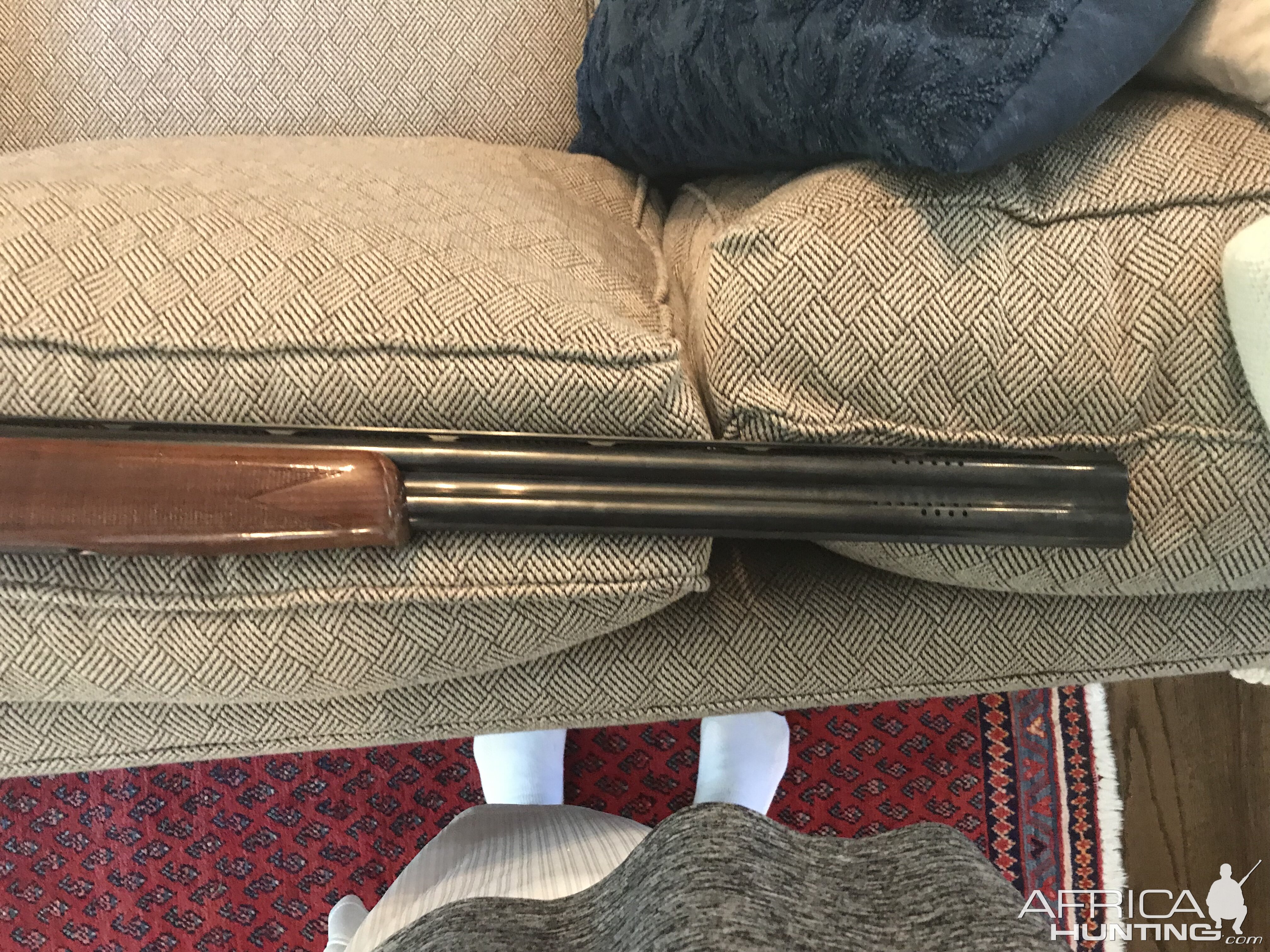 Beretta Silver Pigon in 12 gauge Shotgun