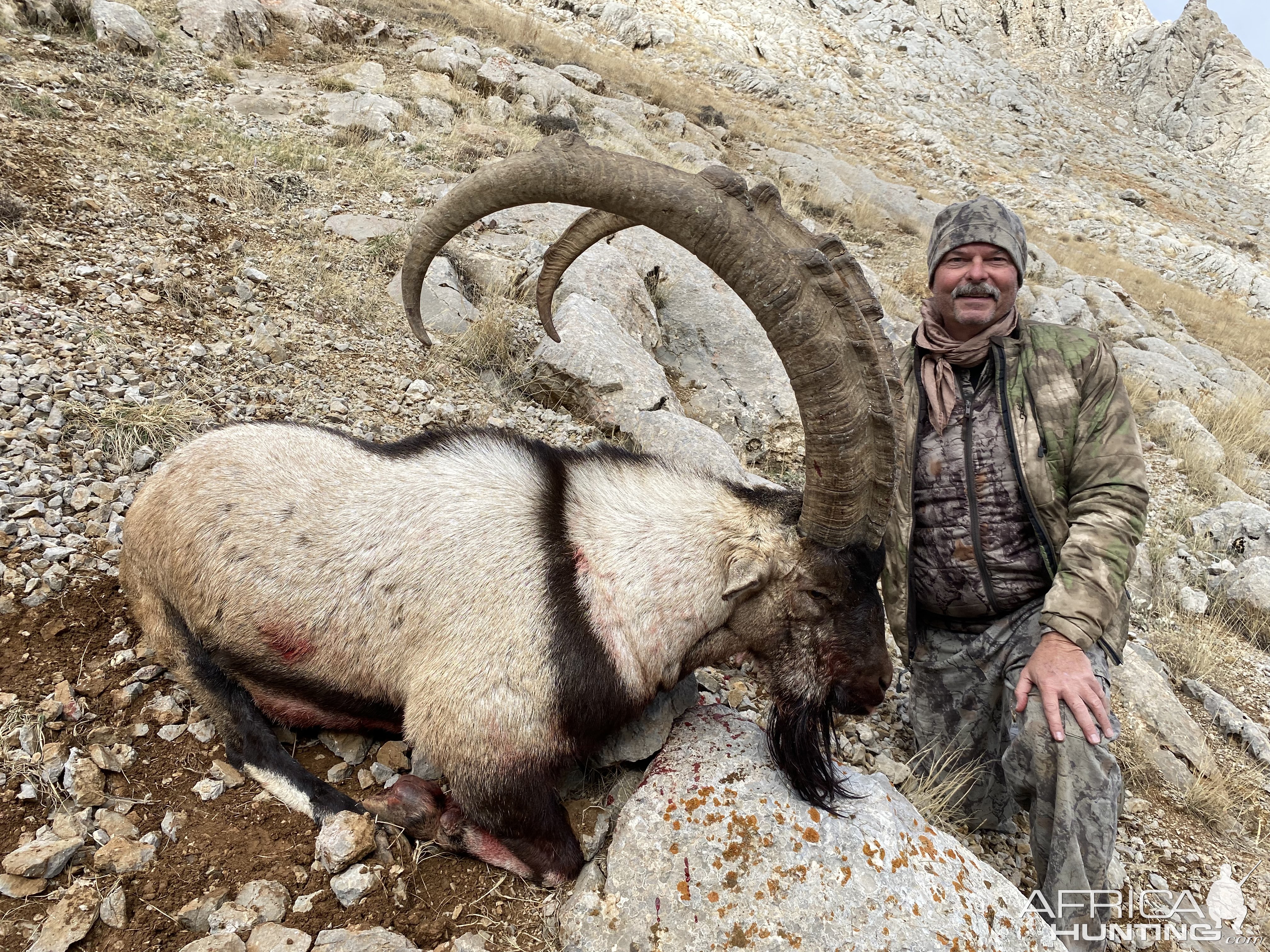 Bezoar Ibex Hunting Turkey