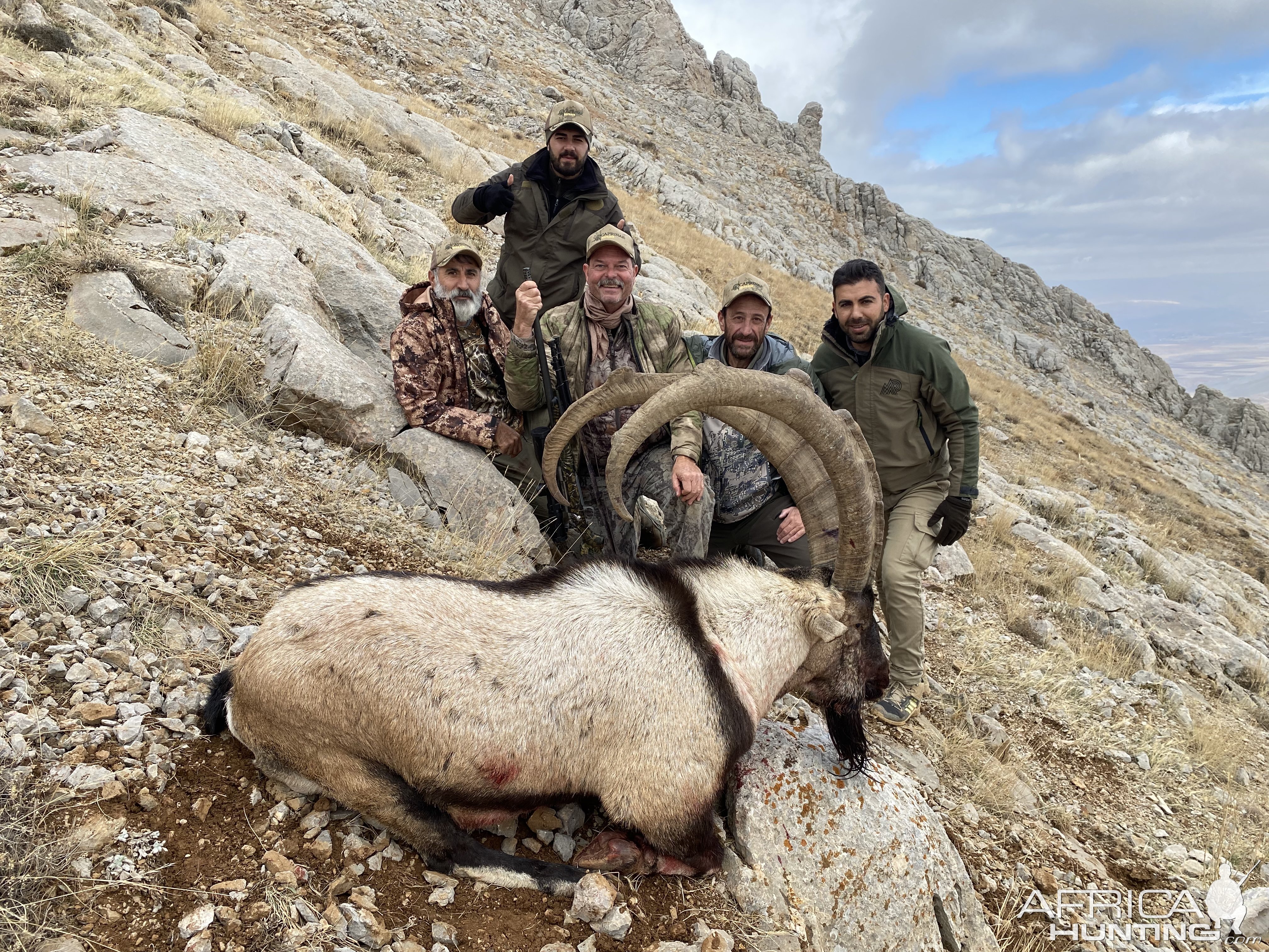 Bezoar Ibex Hunting Turkey