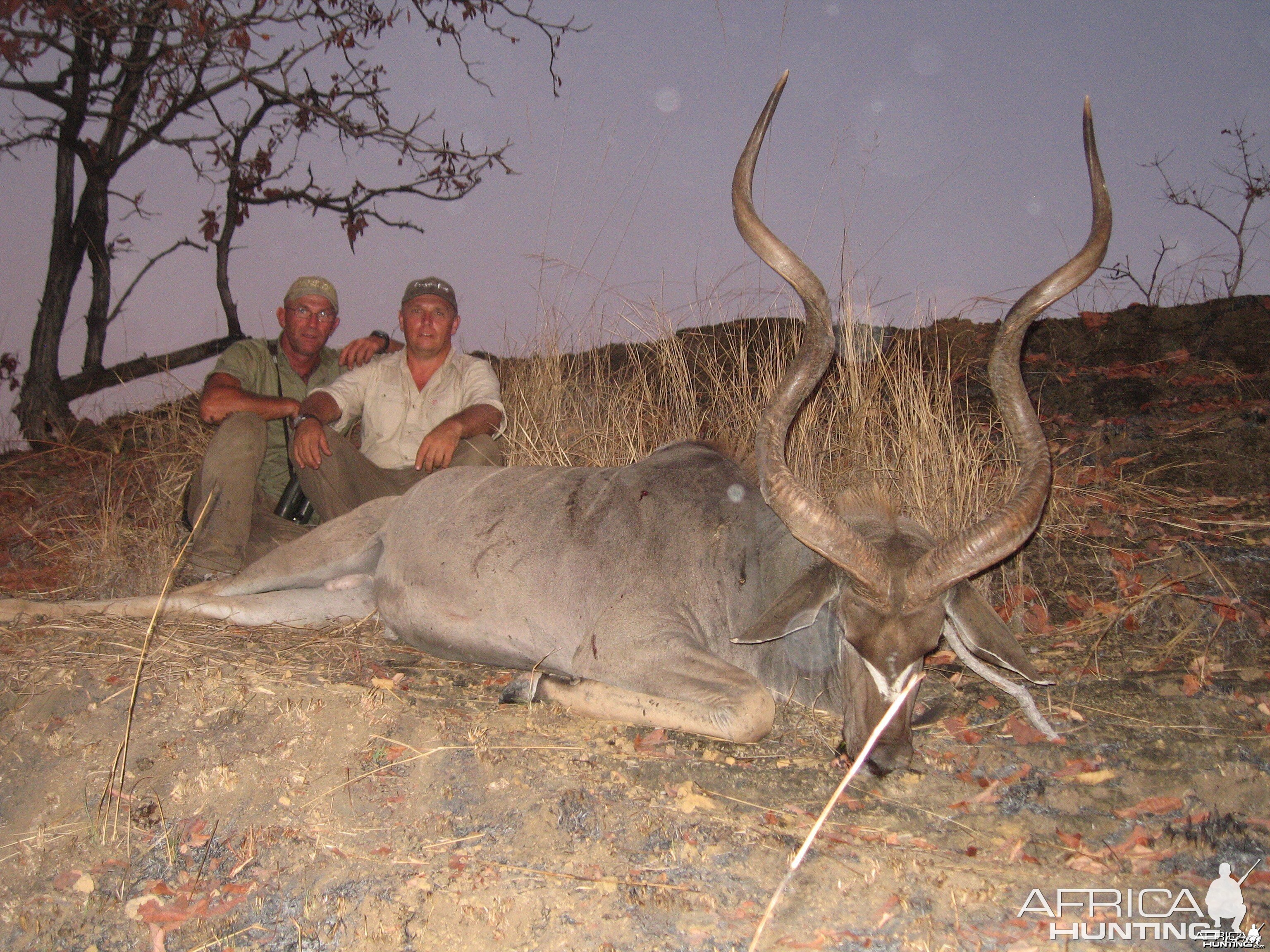 Big 55 inch East African Kudu from Selous Tanzania