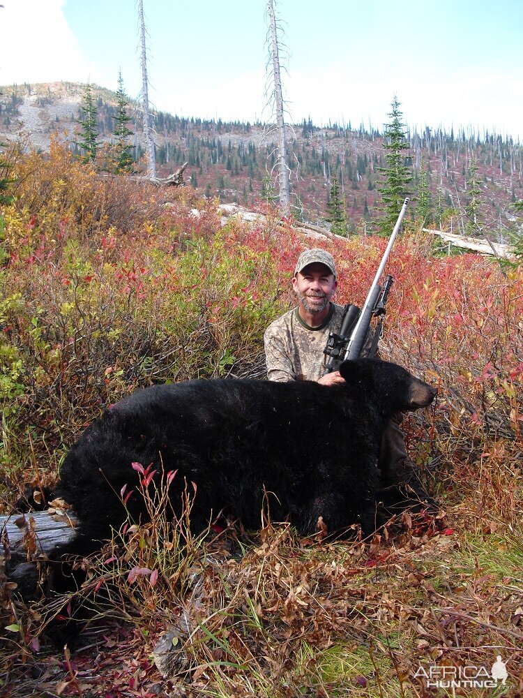 Big Black Bear & 7mm STW