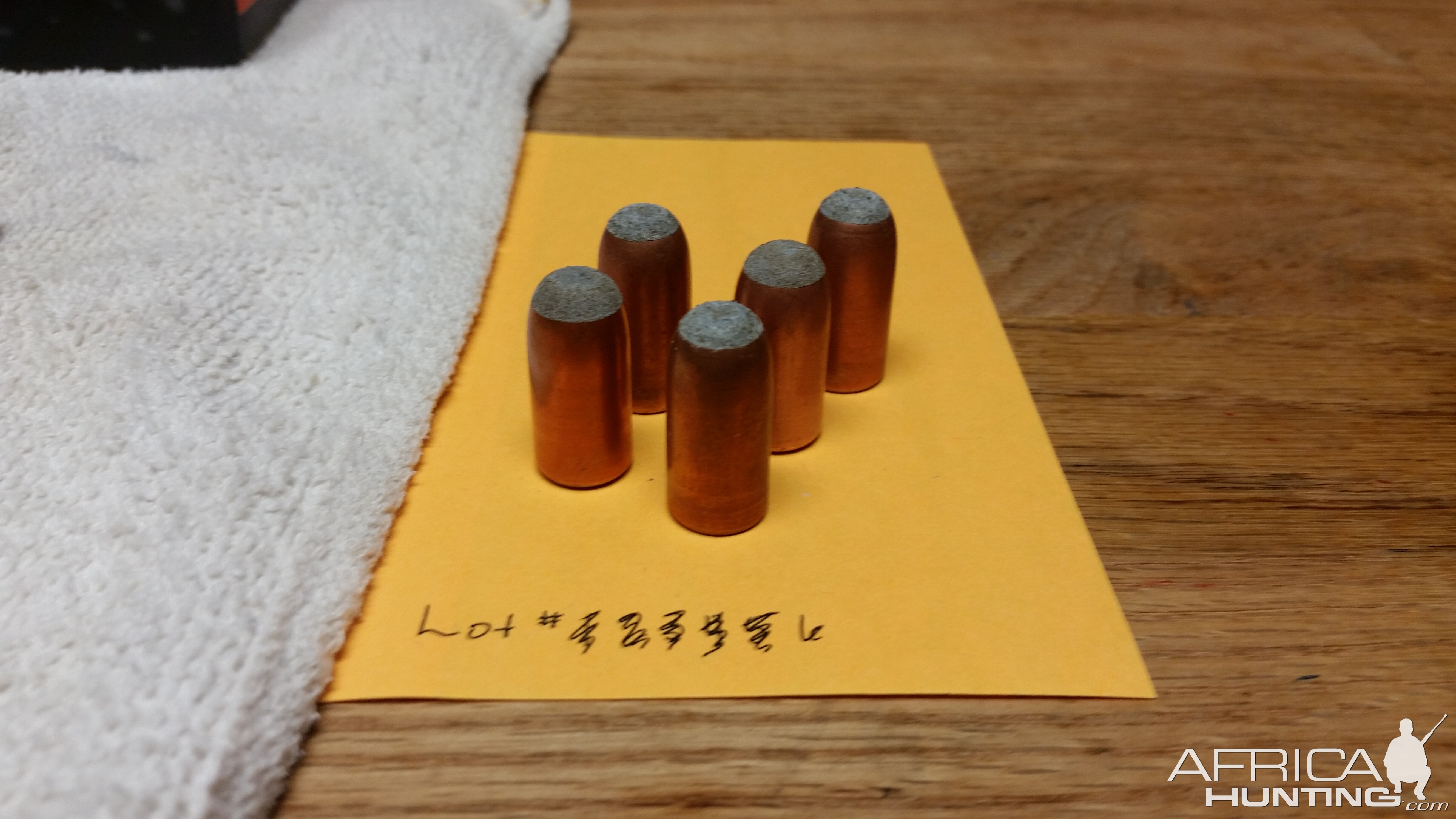 Big Bore Hunting Bullets