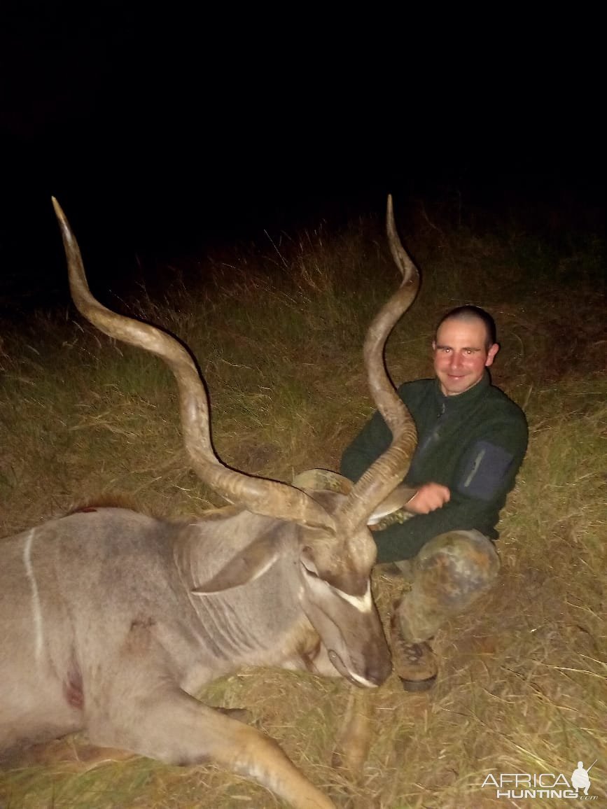 Big Eastern Cape Kudu