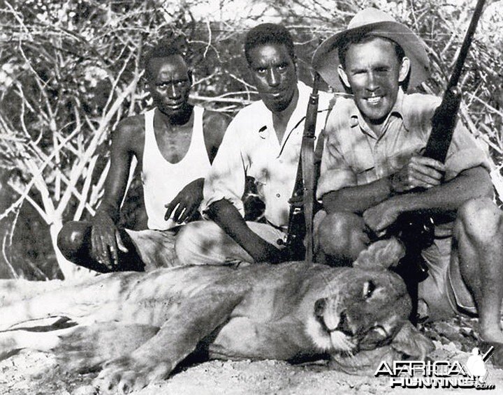 Big-Game Hunter John Kingsley-Heath with a stock-killing lioness he shot in