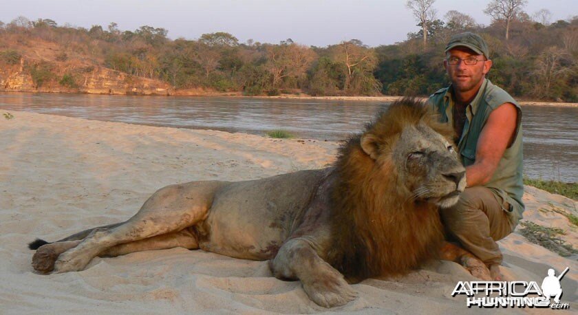 Big mane lion from Tanzania