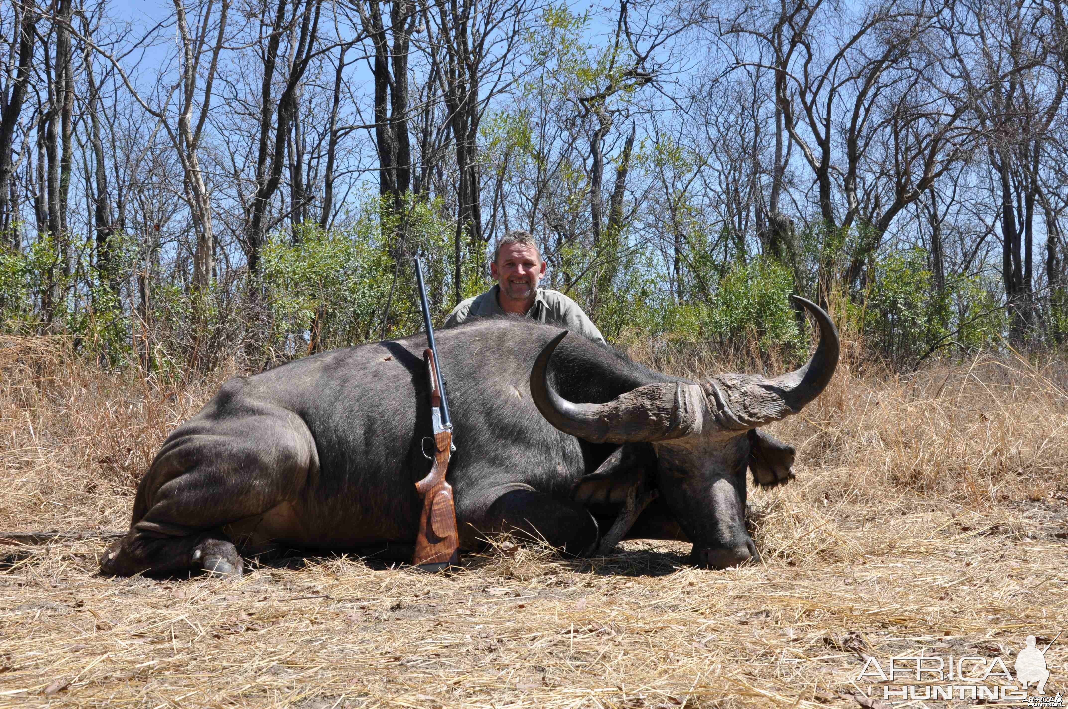 Big old Dagga-boy hunted in the Gwayi, Zimbabwe