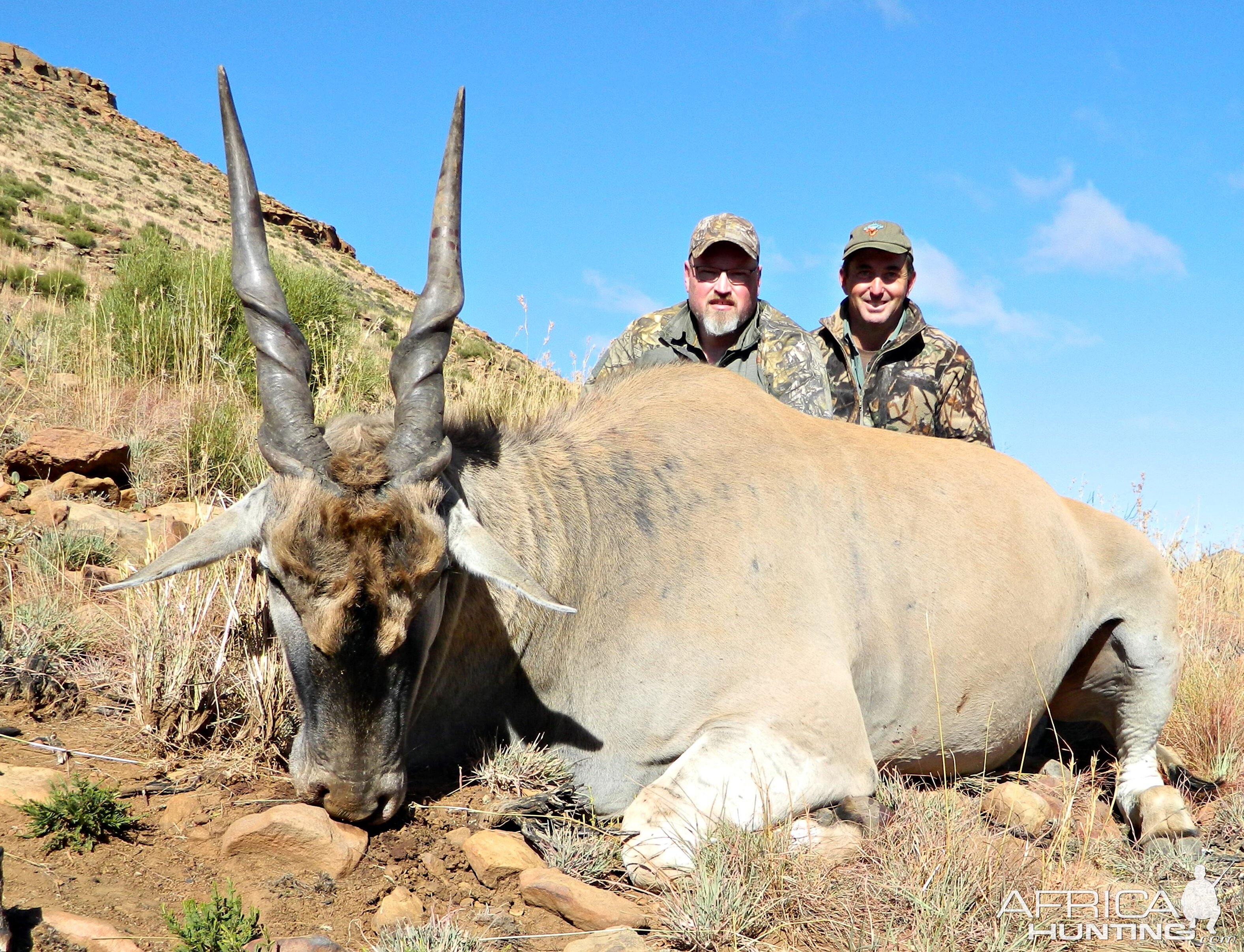 big Stormberg bull with Tyson