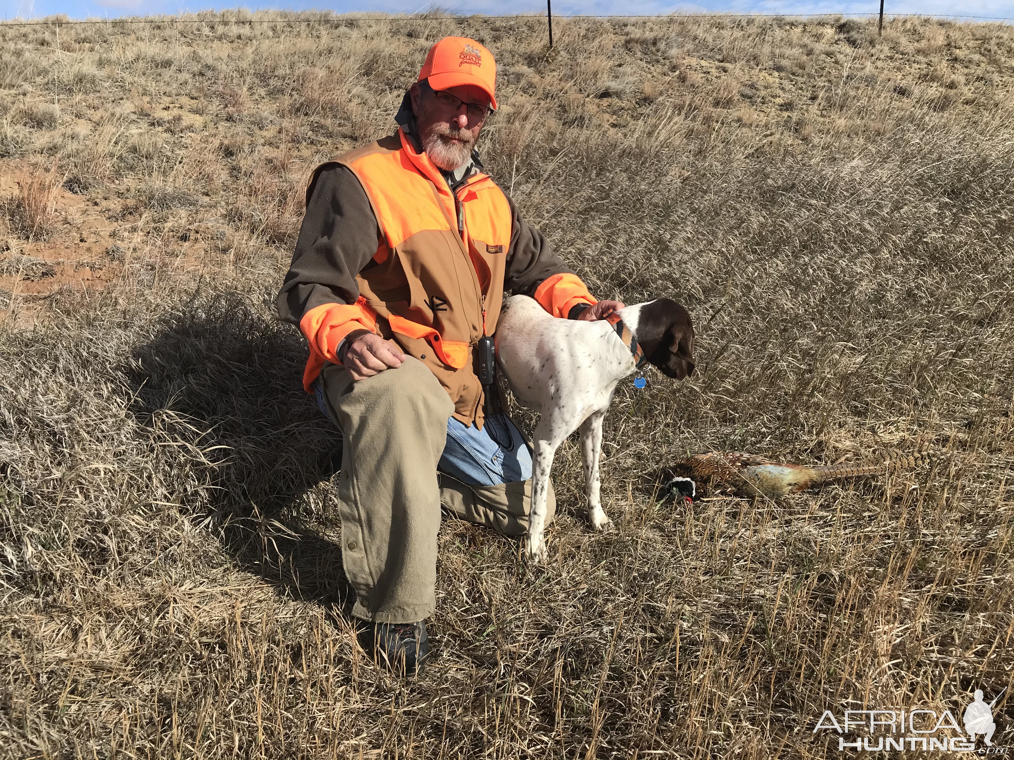 Bird Hunt Montana