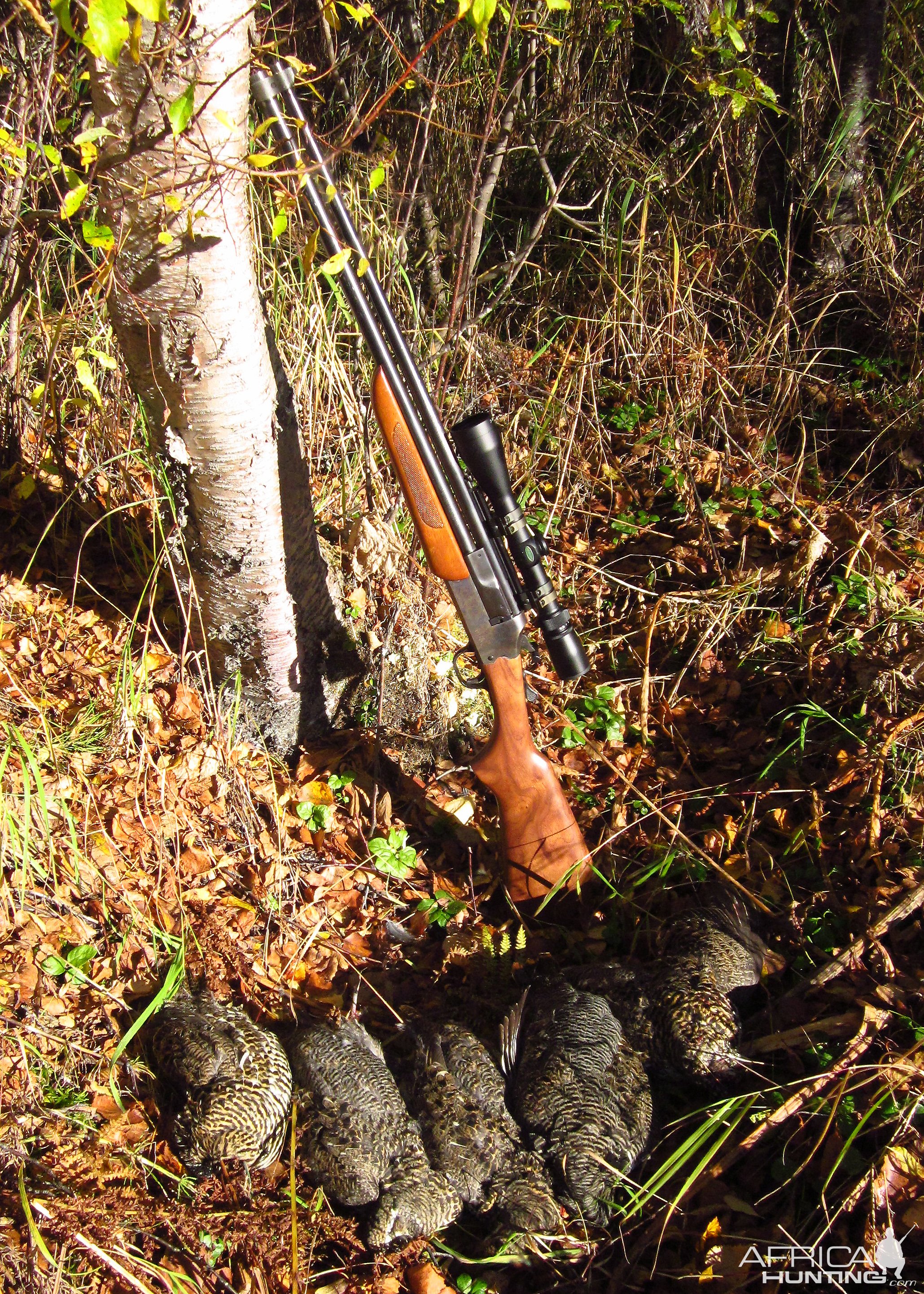 Bird Hunting Alaska