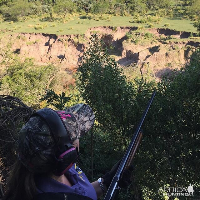 Bird Hunting Argentina