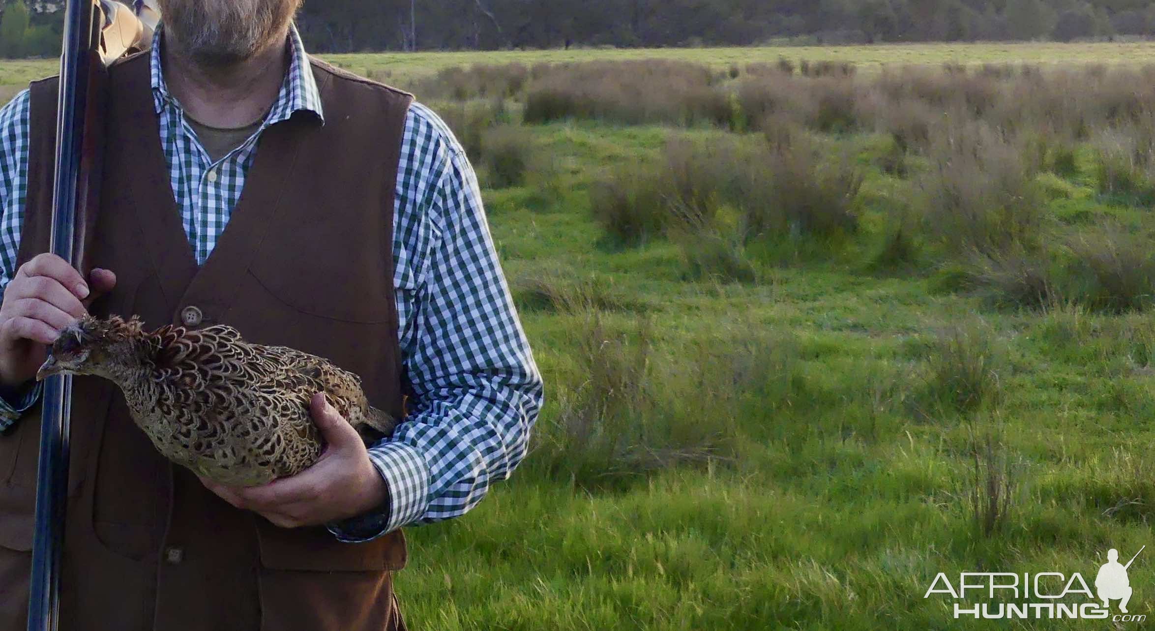 Bird Hunting Australia