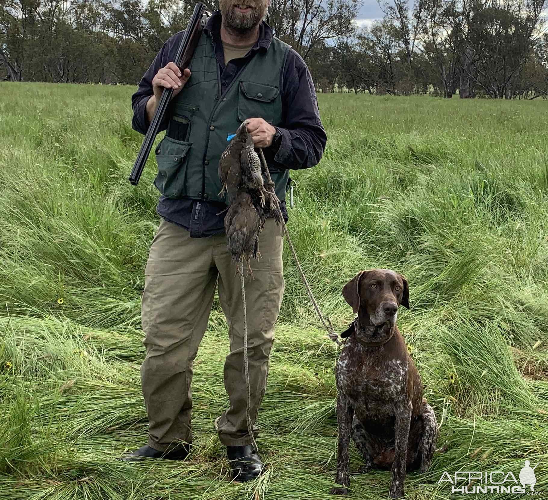 Bird Hunting Australia