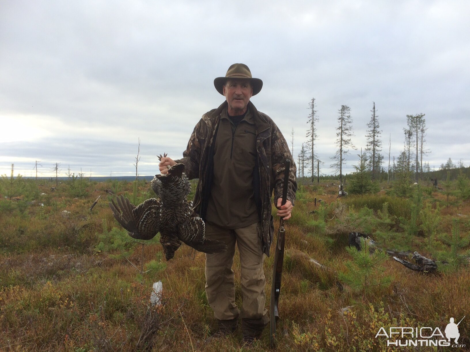 Bird Hunting Black Grouse