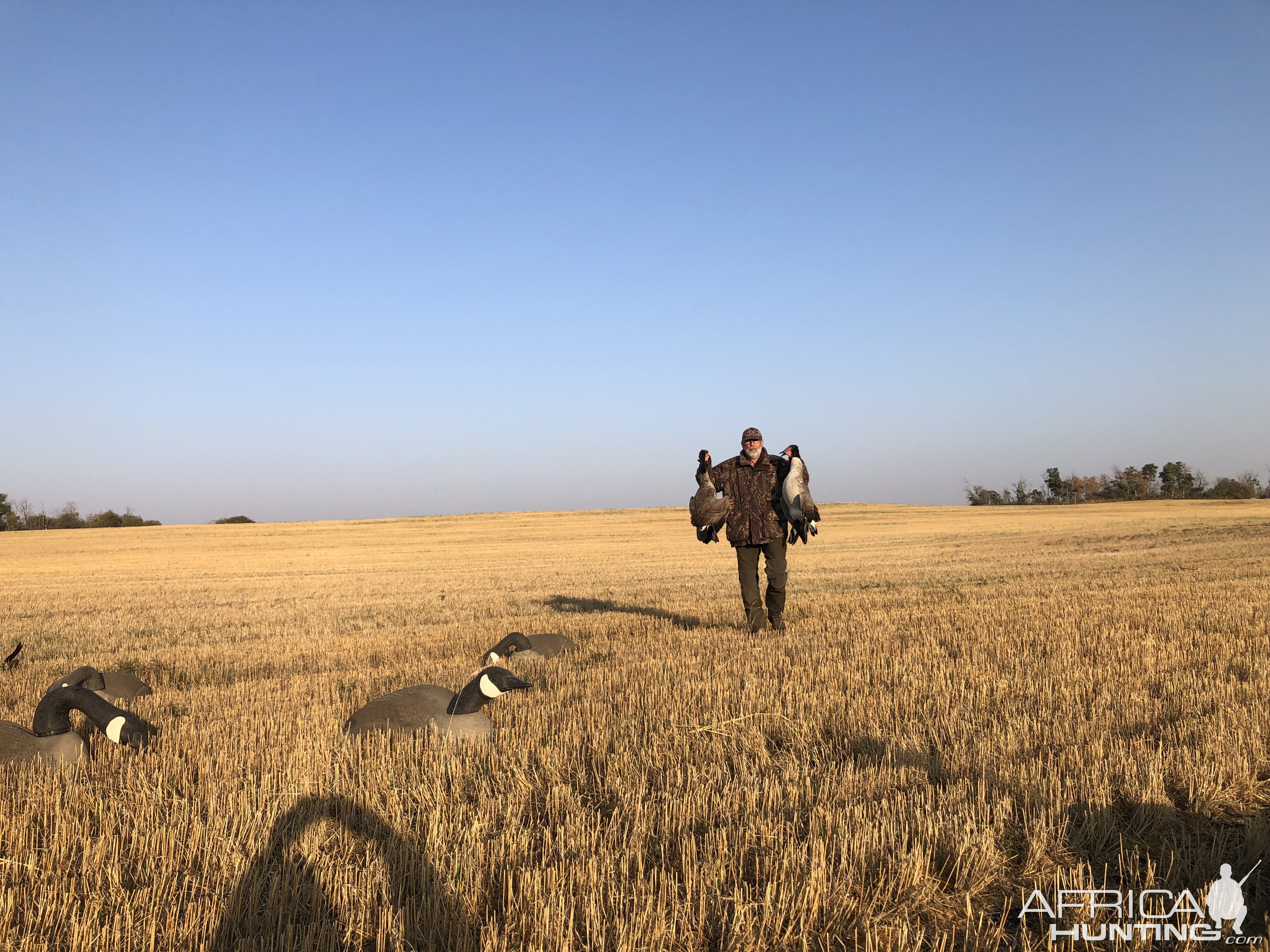 Bird Hunting Canada