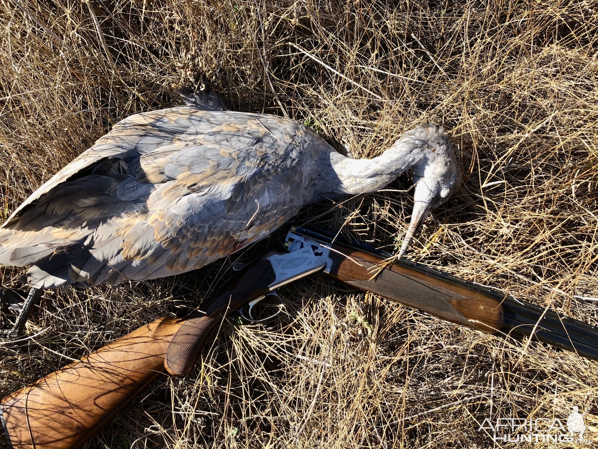 Bird Hunting Canada