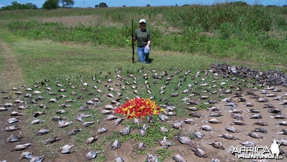 Bird hunting in Argentina