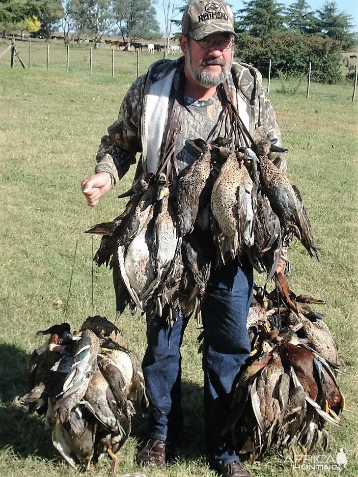 Bird Hunting in Argentina