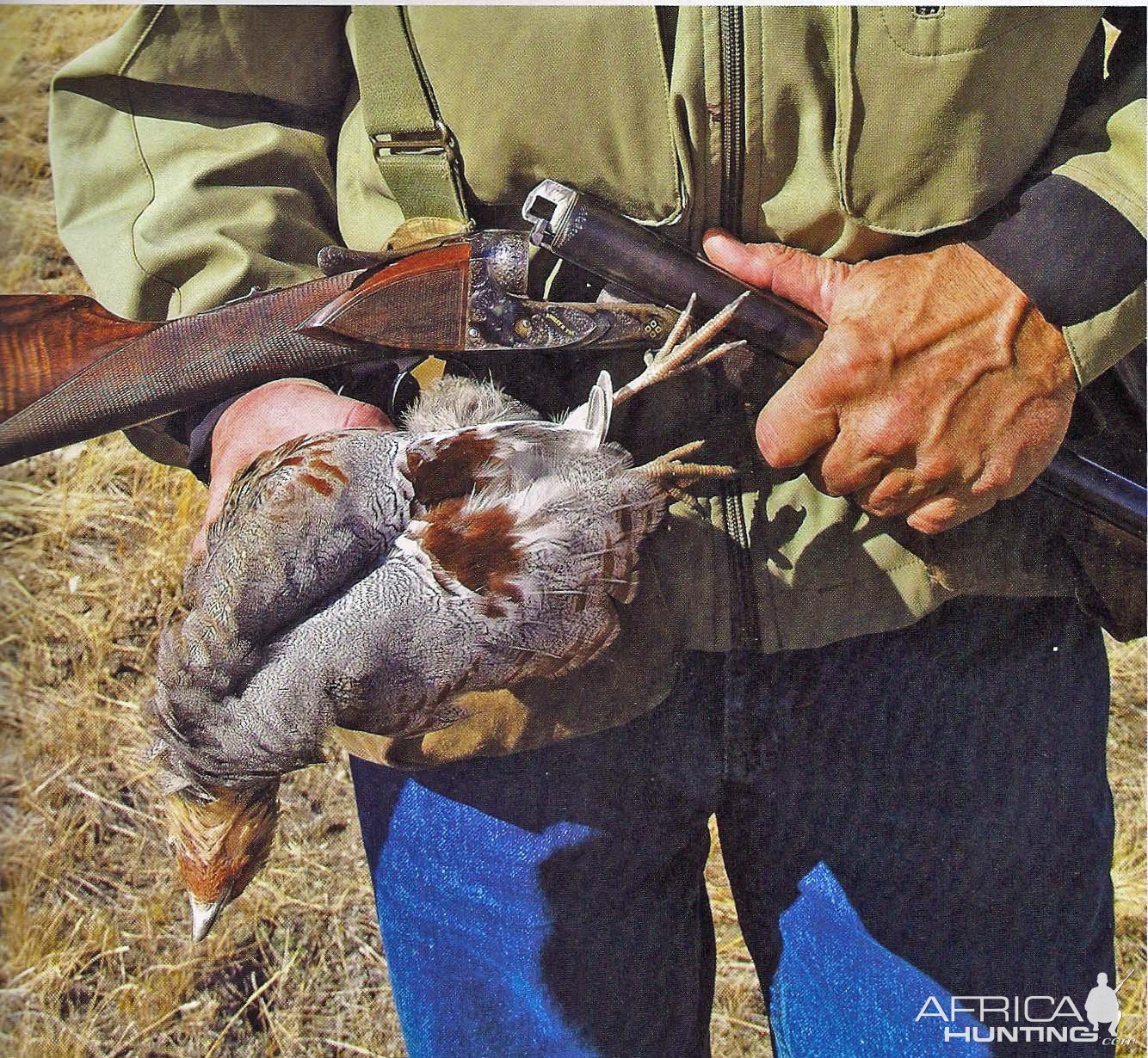 Bird Hunting Montana