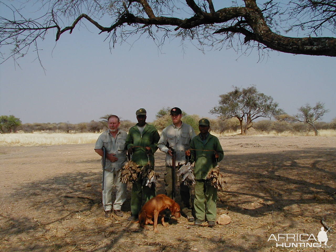 Bird Hunting Namibia Africa