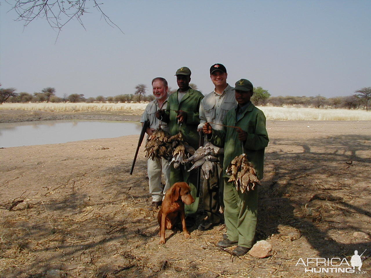 Bird Hunting Namibia Africa