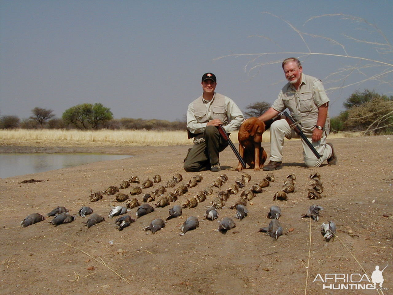 Bird Hunting Namibia Africa