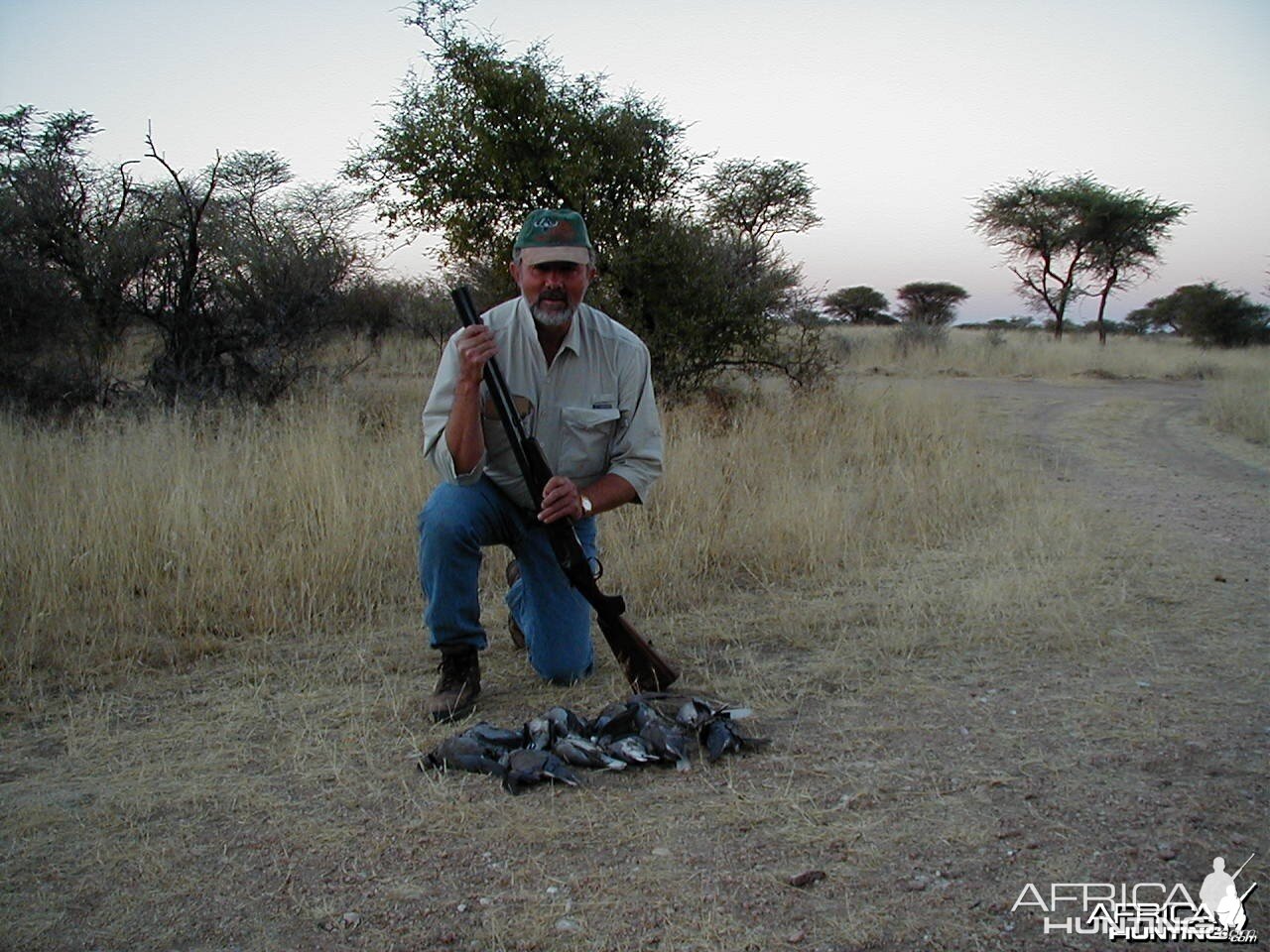 Bird Hunting Namibia Africa