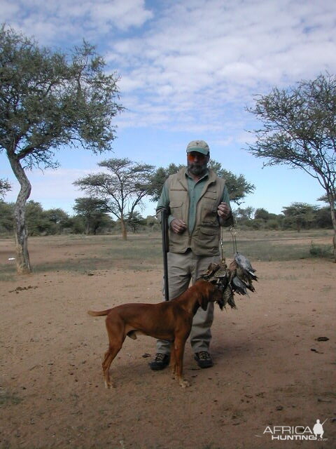 Bird Hunting Namibia Africa