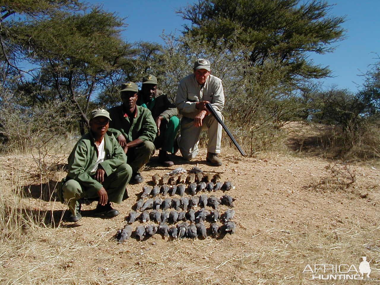 Bird Hunting Namibia Africa