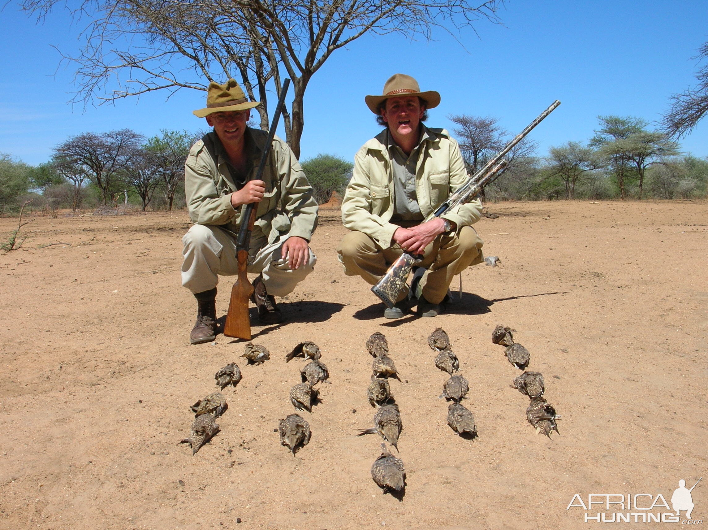 Bird Hunting Namibia Africa