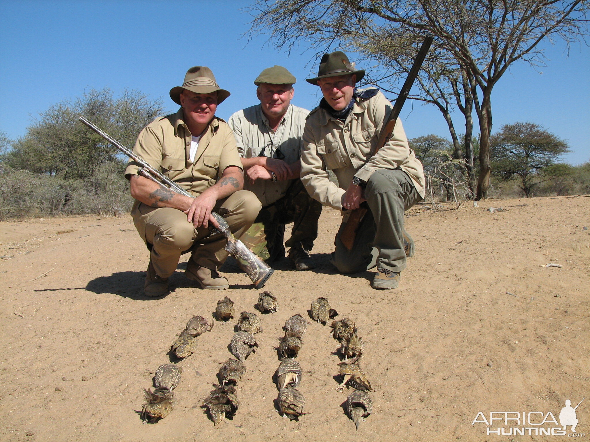 Bird Hunting Namibia Africa