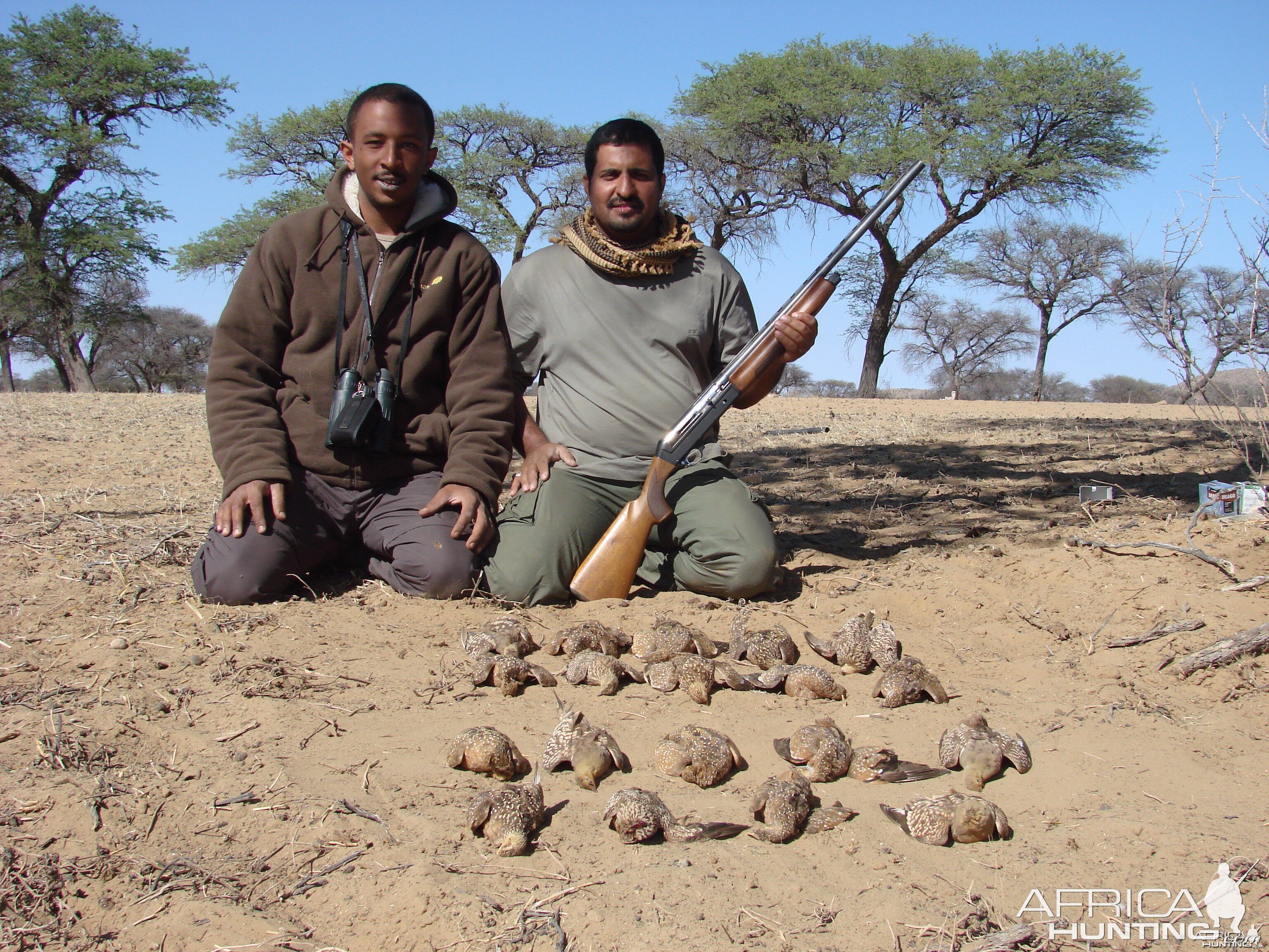 Bird Hunting Namibia Africa