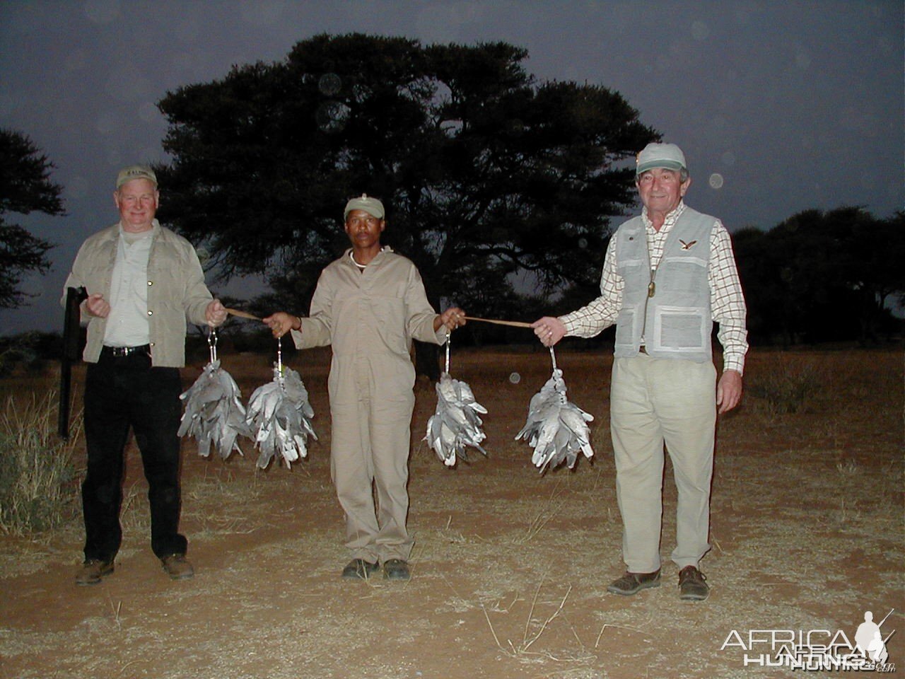 Bird Hunting Namibia Africa