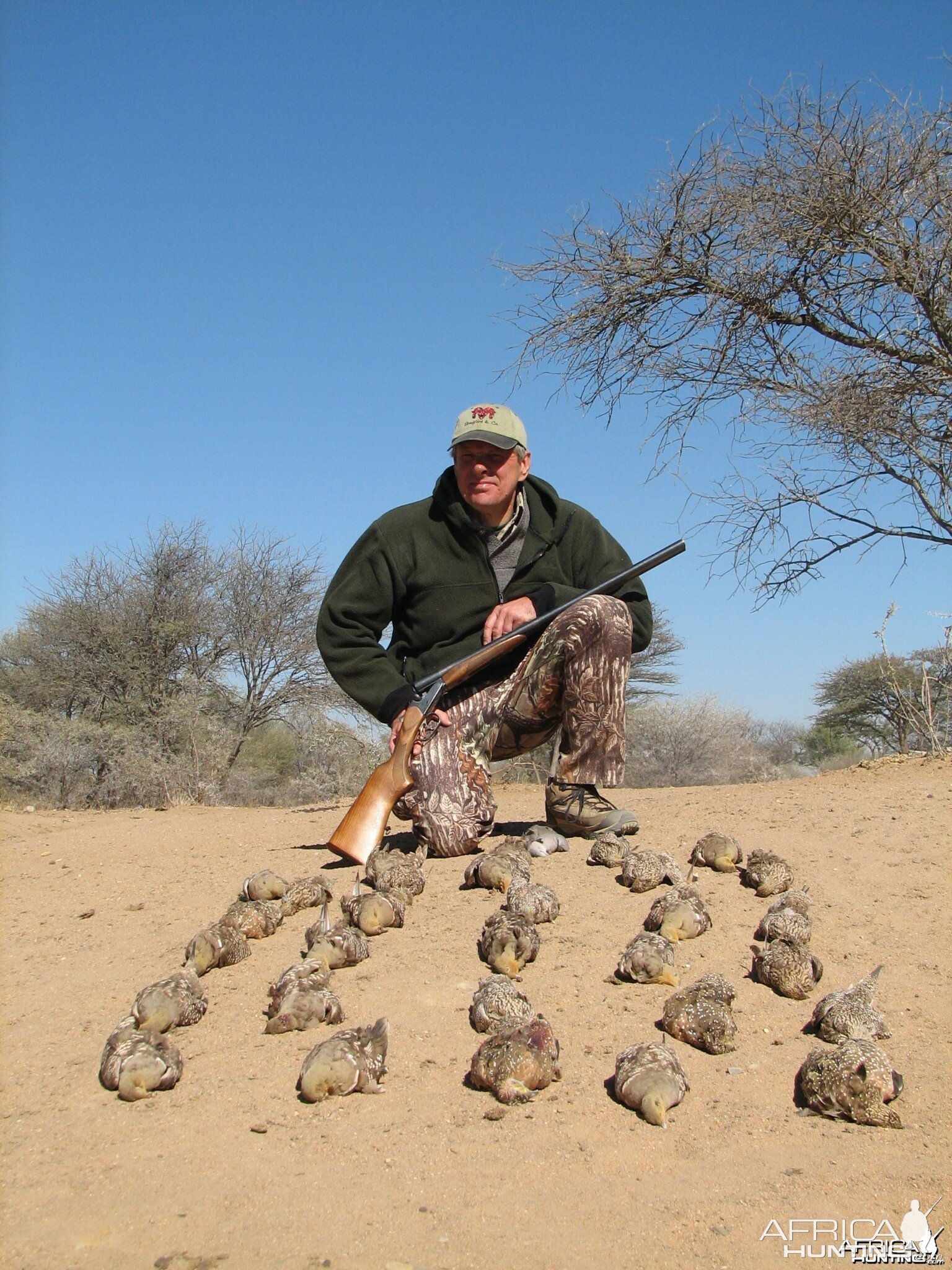 Bird Hunting Namibia Africa