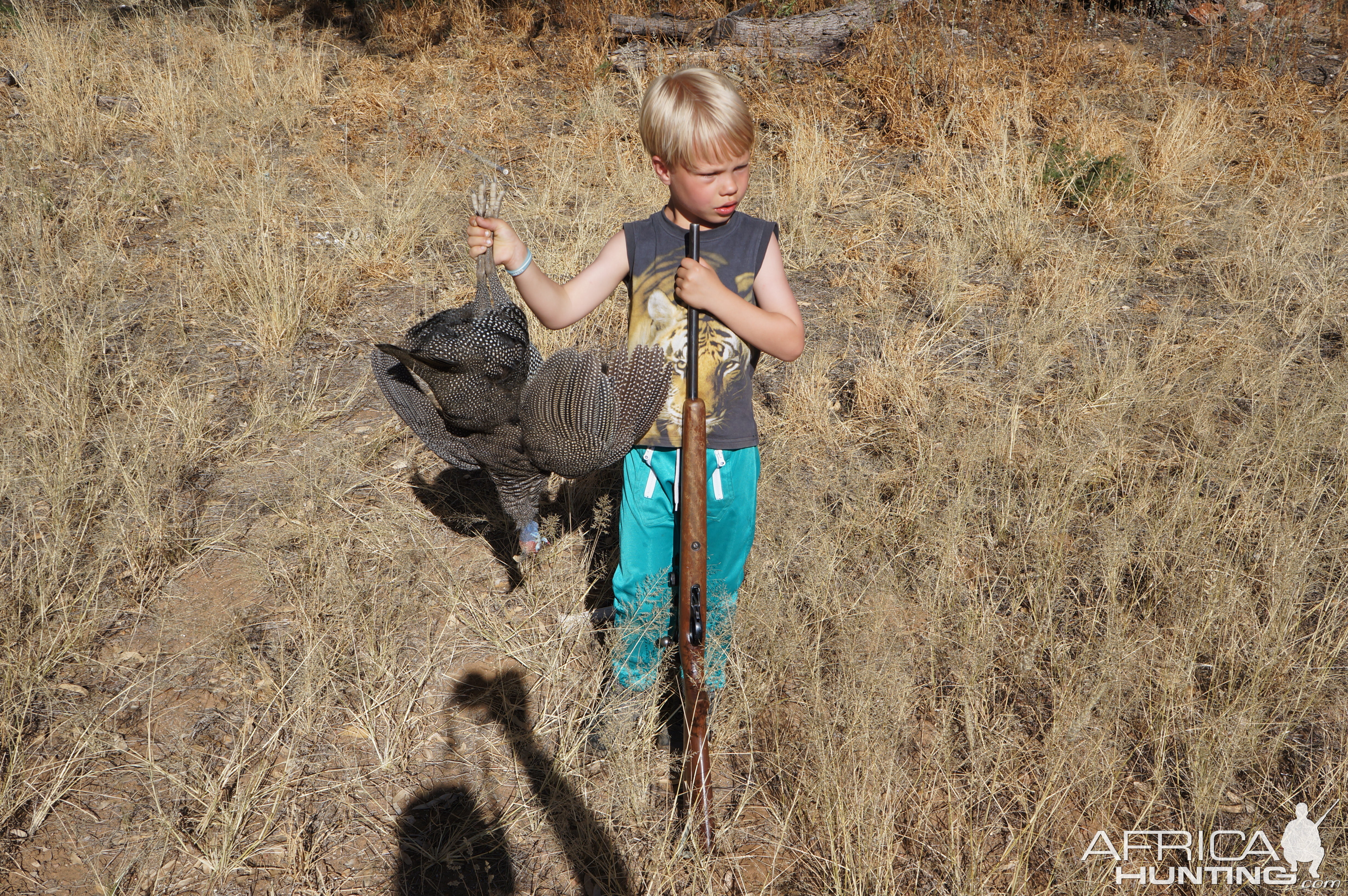 Bird Hunting Namibia Guineafowl