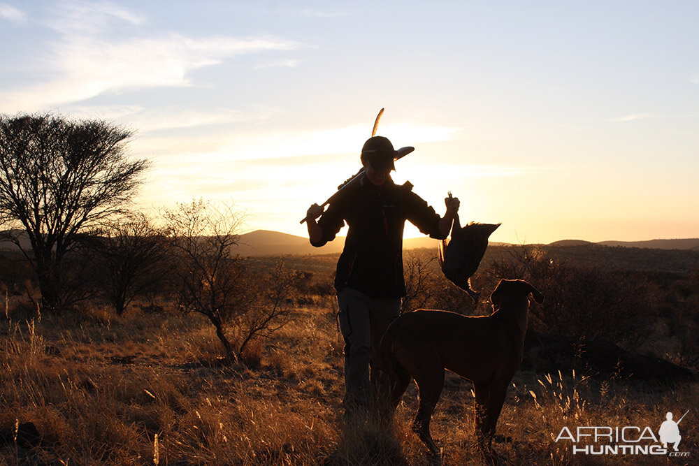 Bird Hunting Namibia