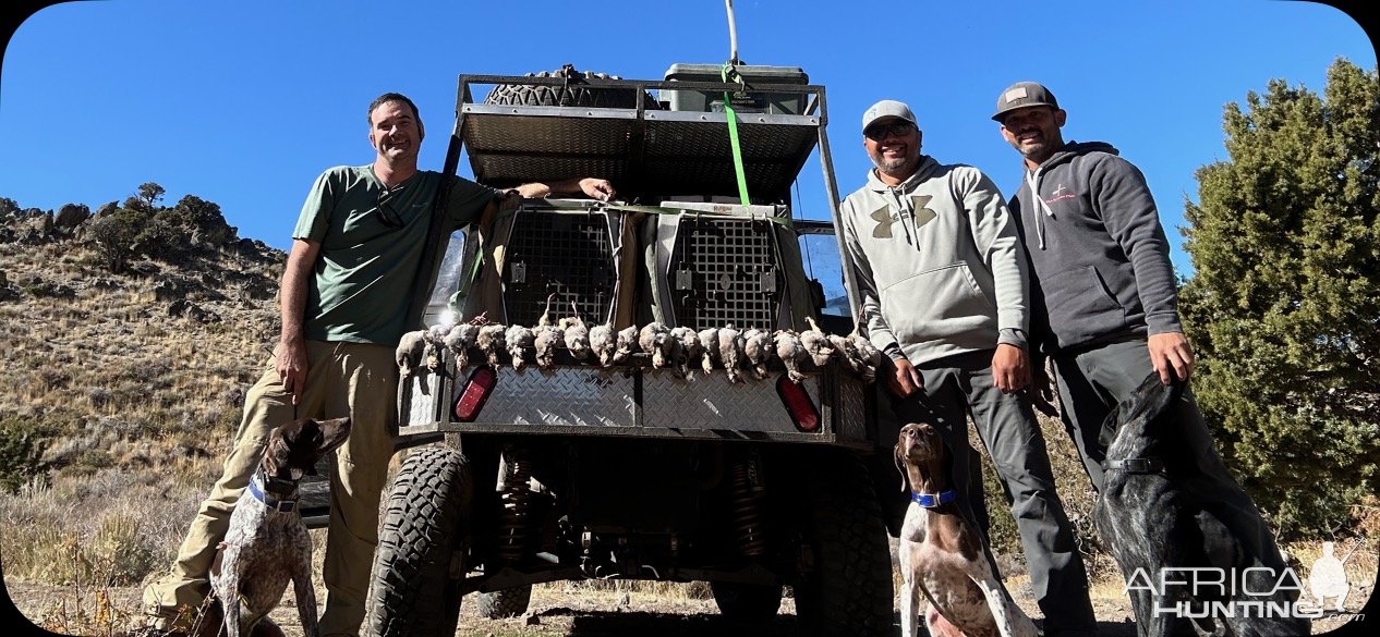 Bird Hunting Nevada