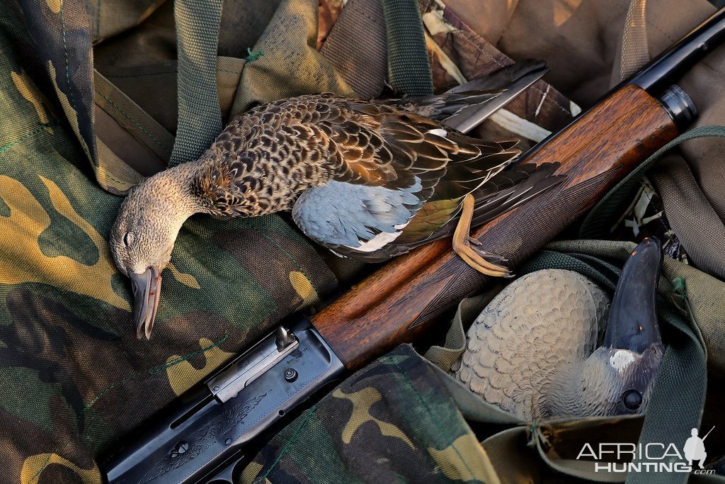 Bird Hunting Rifle