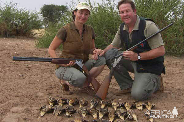 Bird Hunting Sandgrouse Namibia