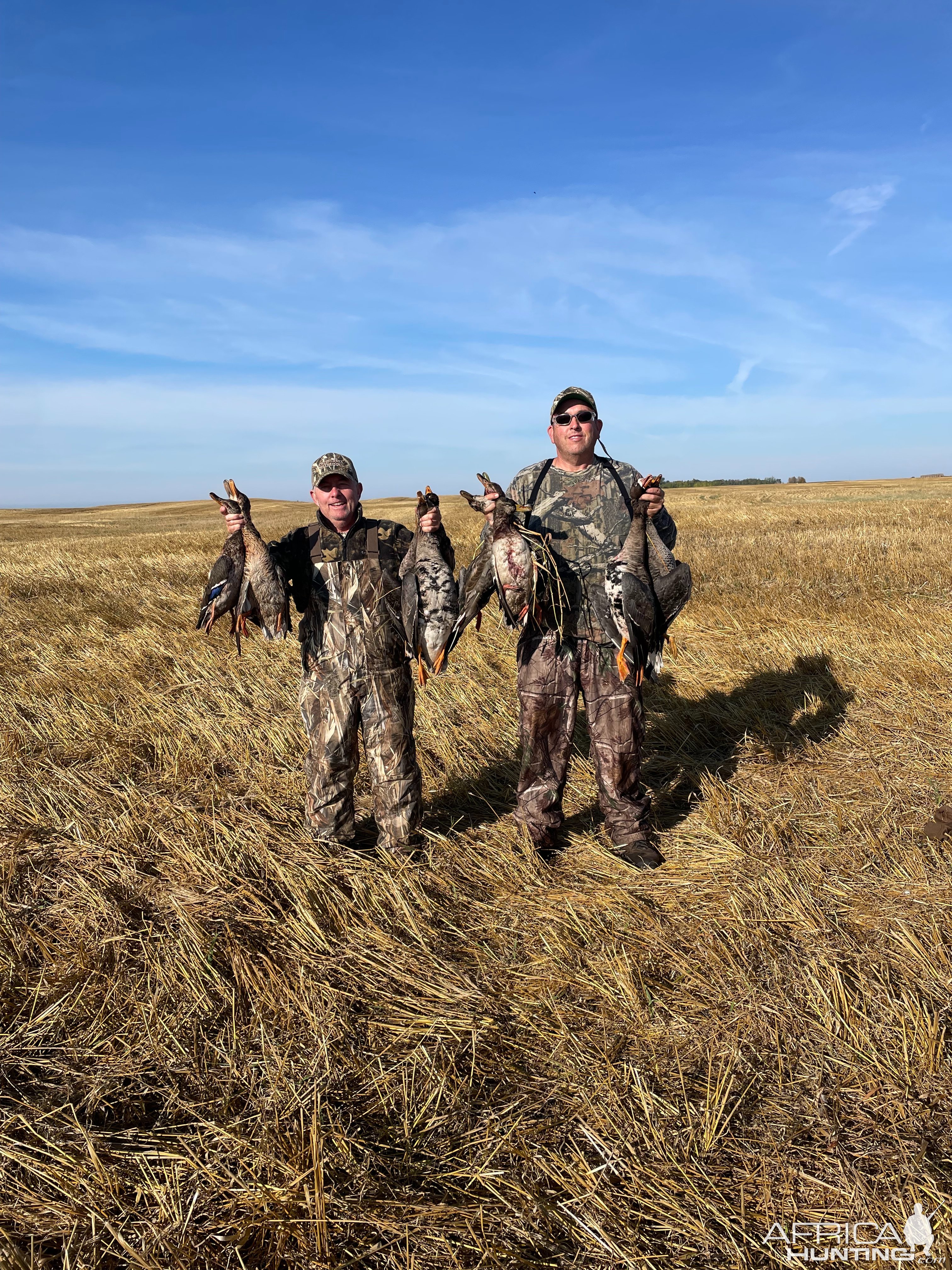 Bird Hunting Saskatchewan